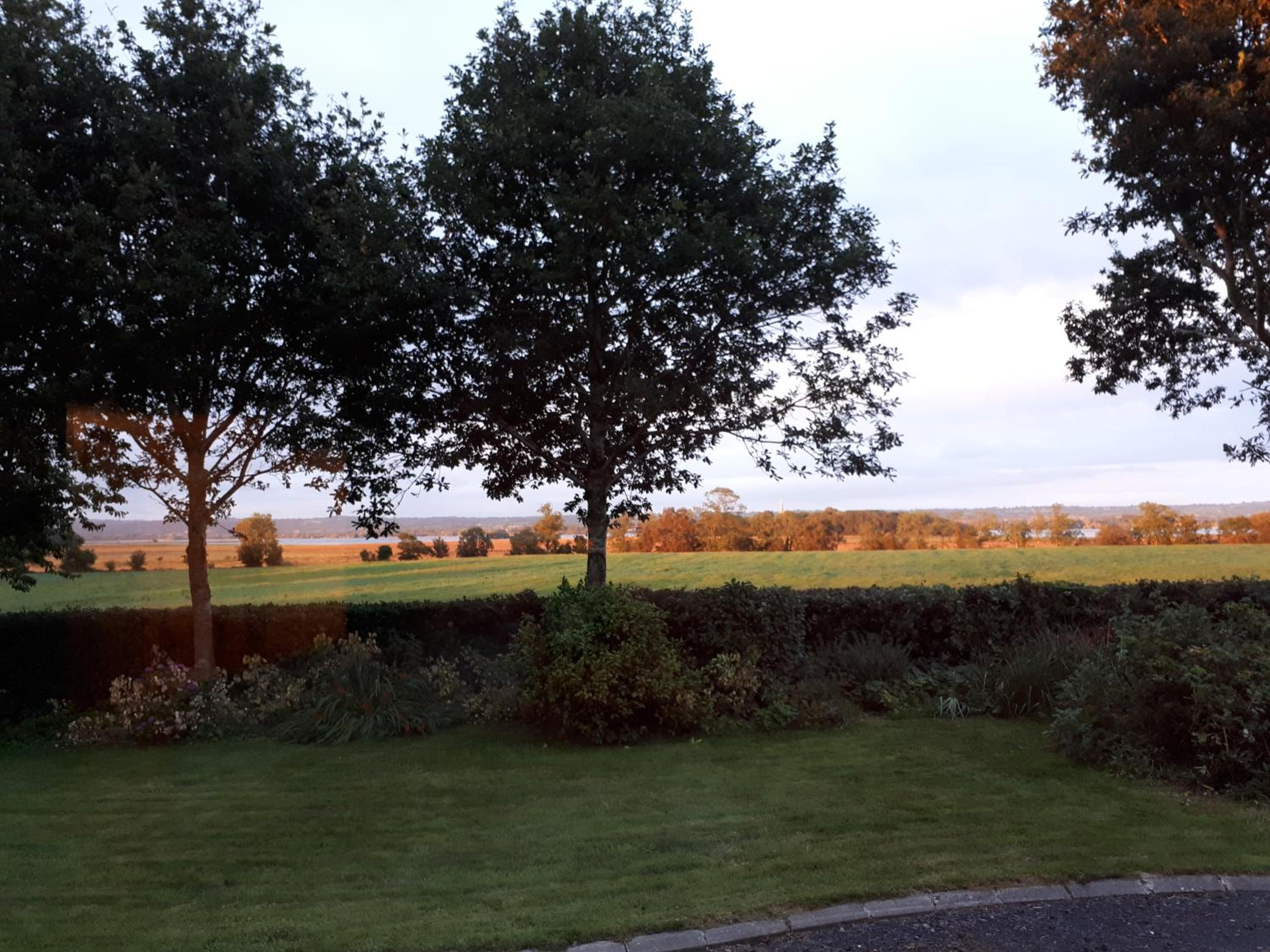 Dewhamill view 5