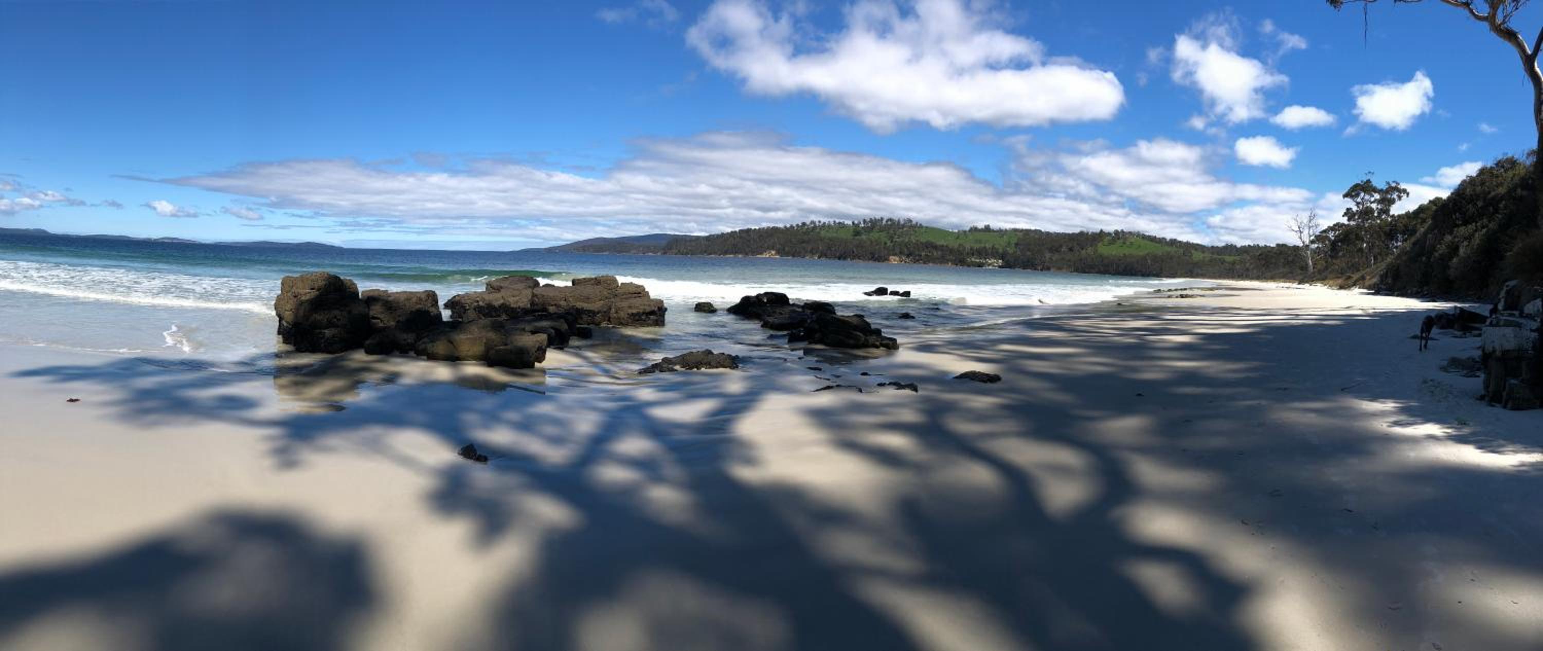 Shanleys Huon Valley