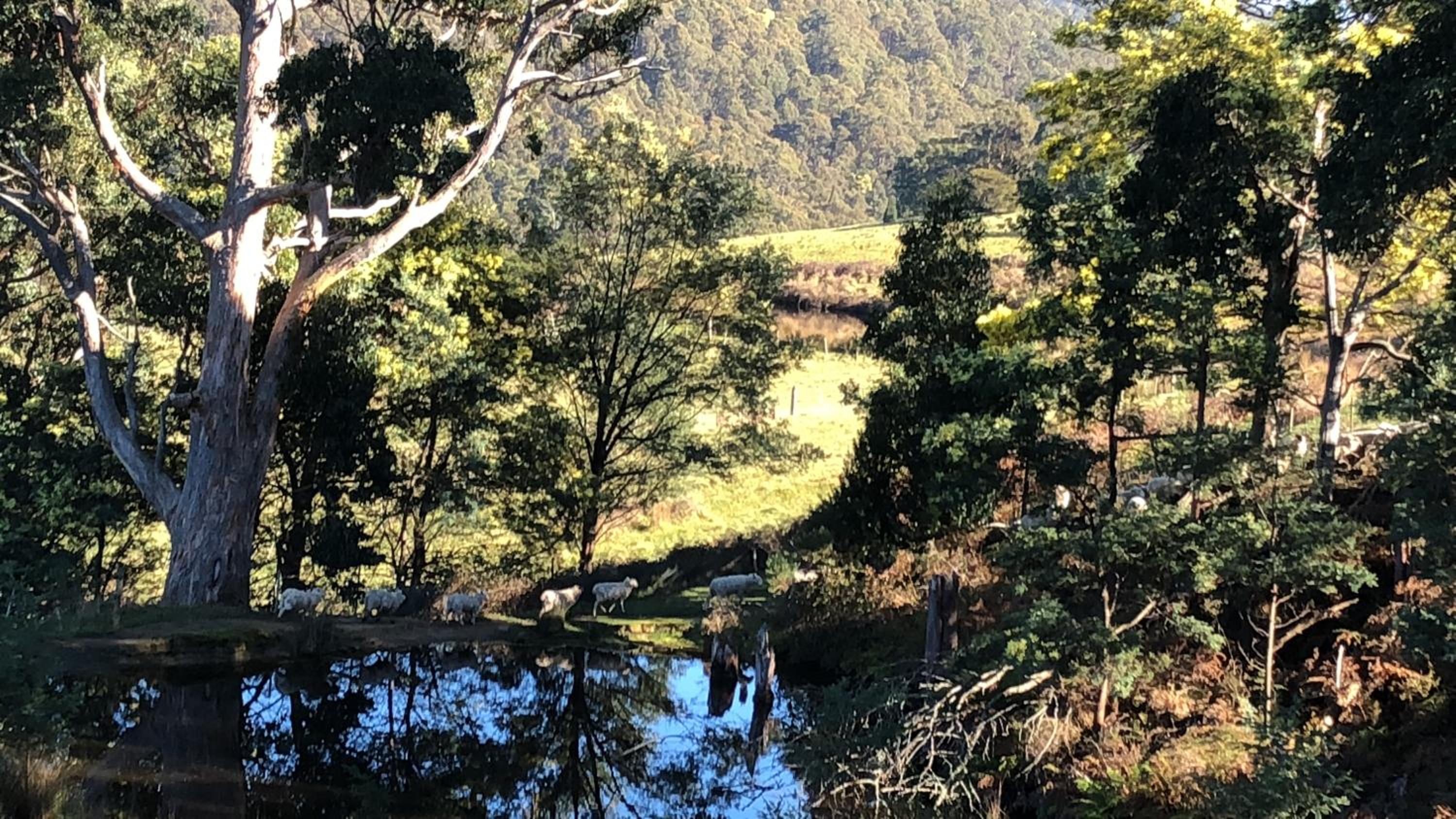 Shanleys Huon Valley