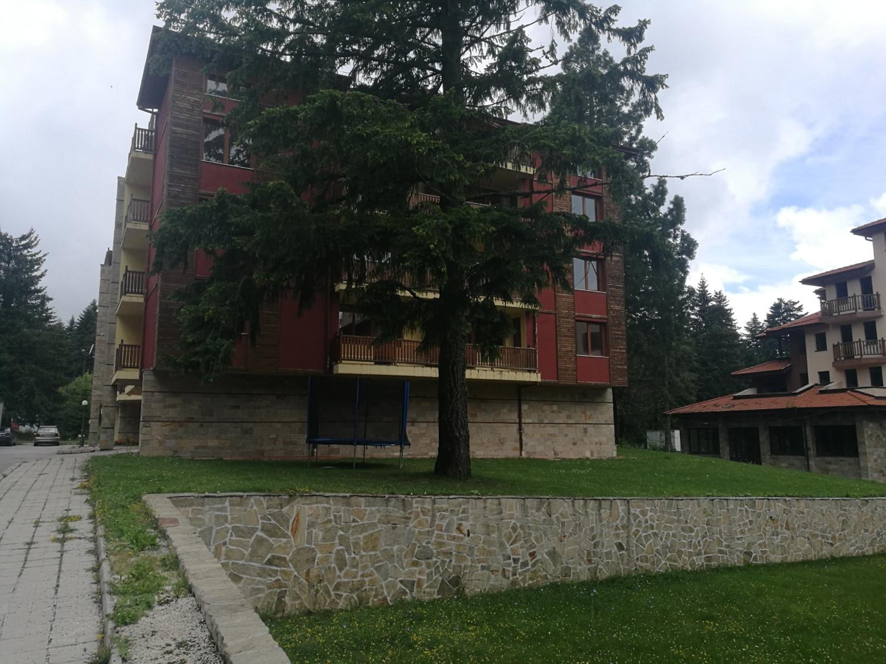 Photo 16