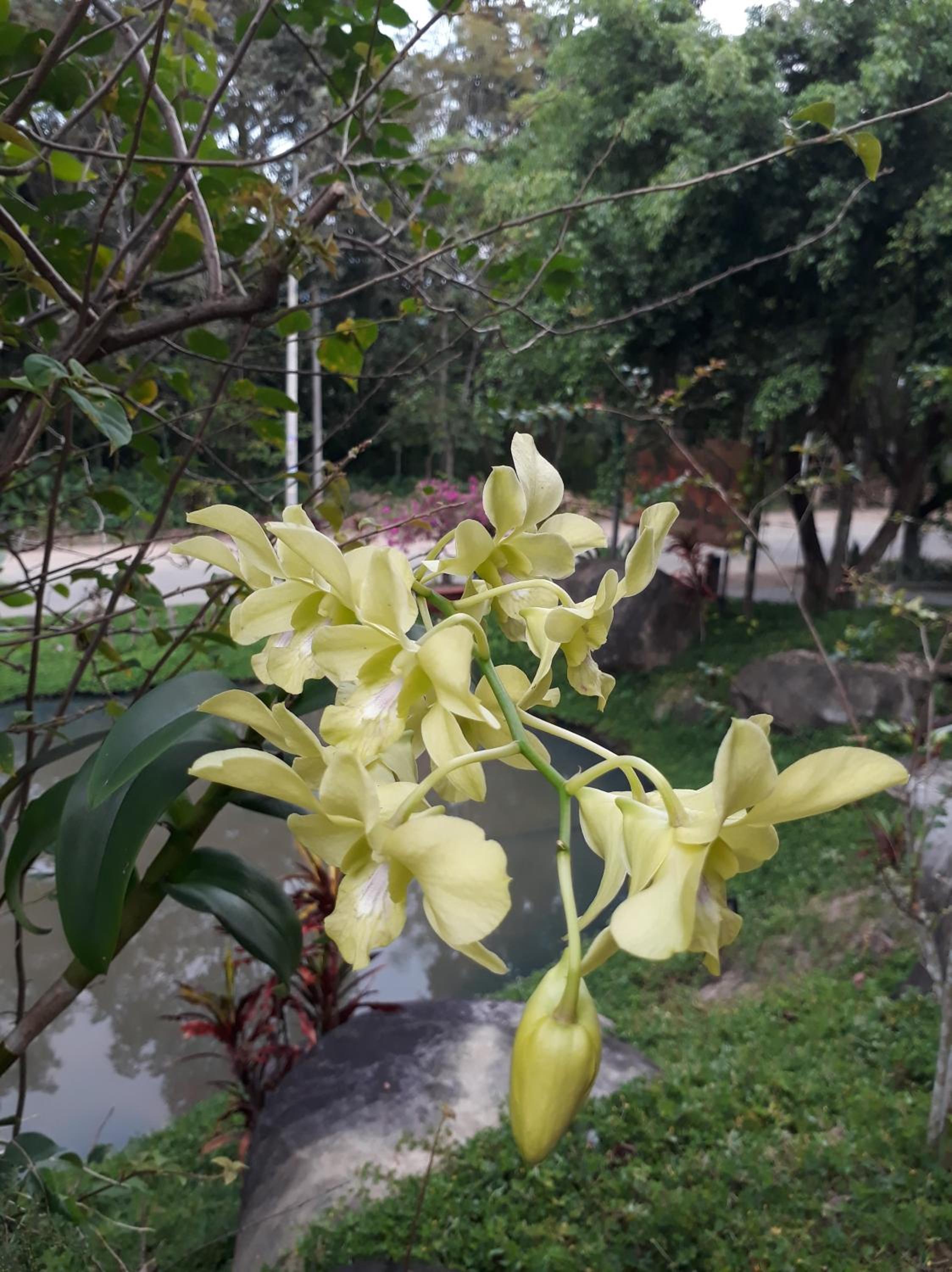 Photo 48