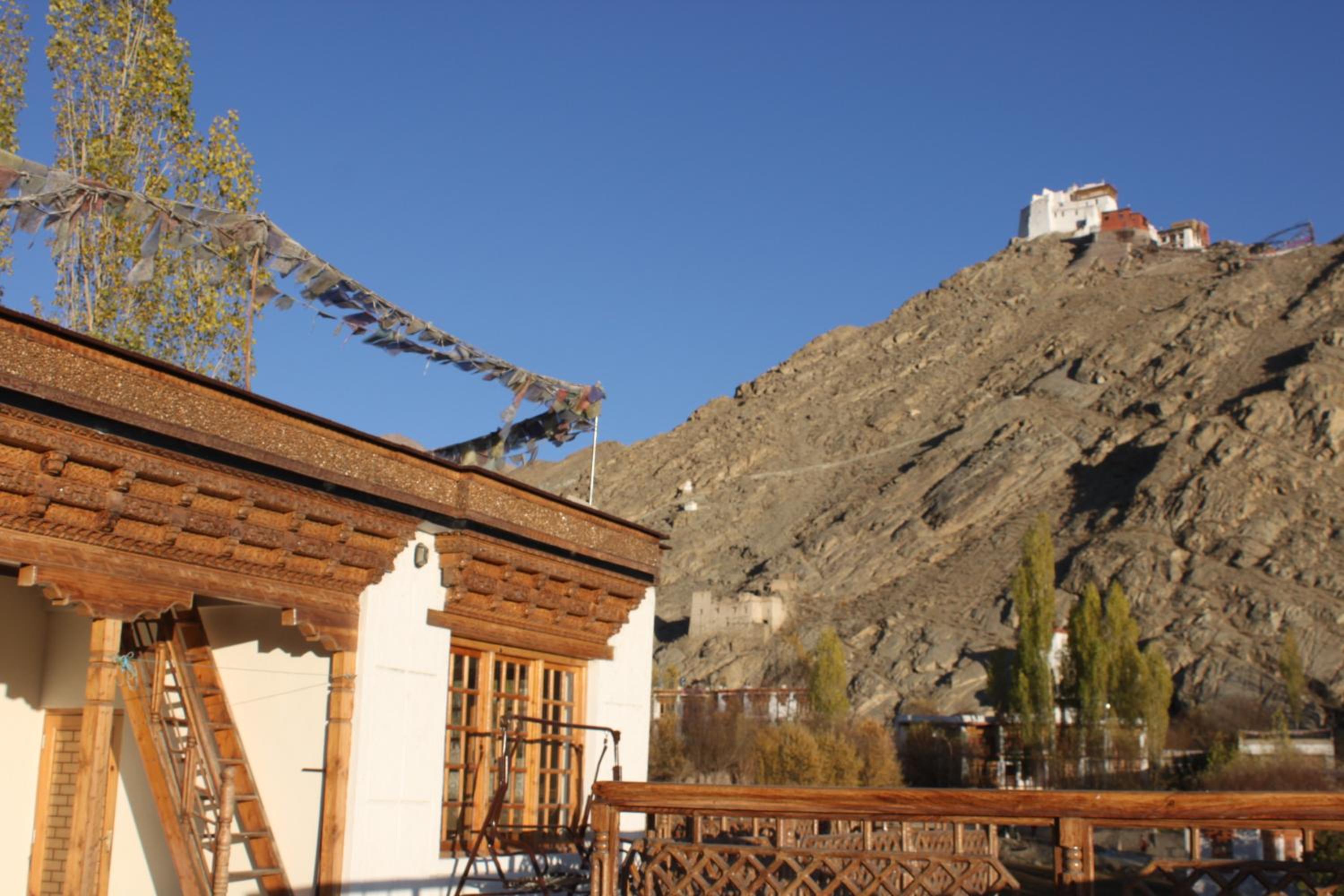 New Royal Guest House view 5