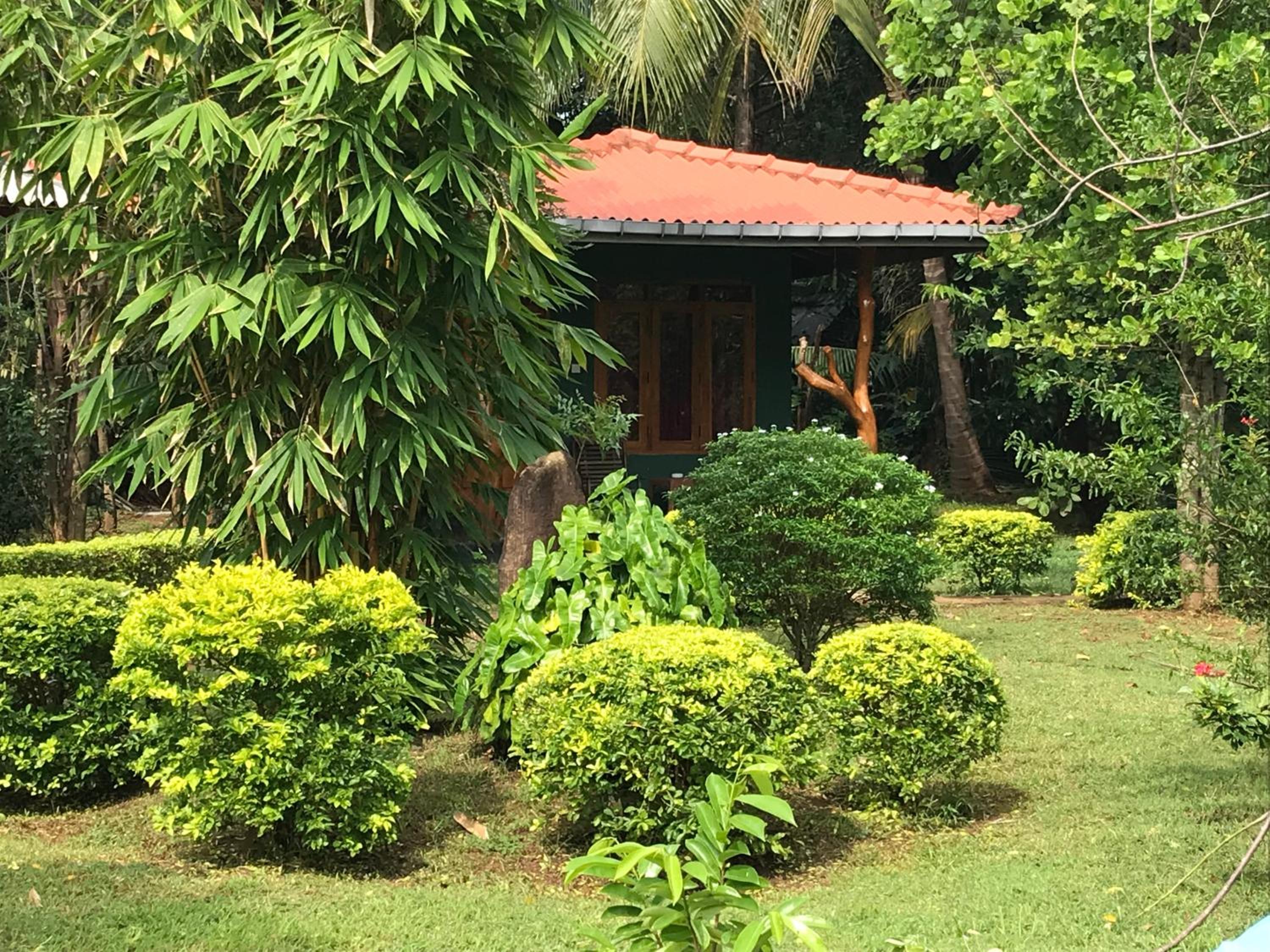 Liyon Rest sigiriya