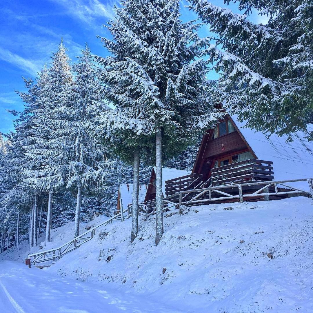 Romantica Forest Guest House