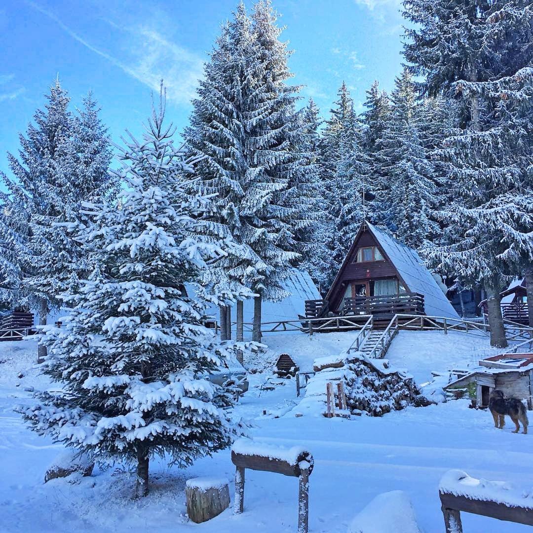Romantica Forest Guest House