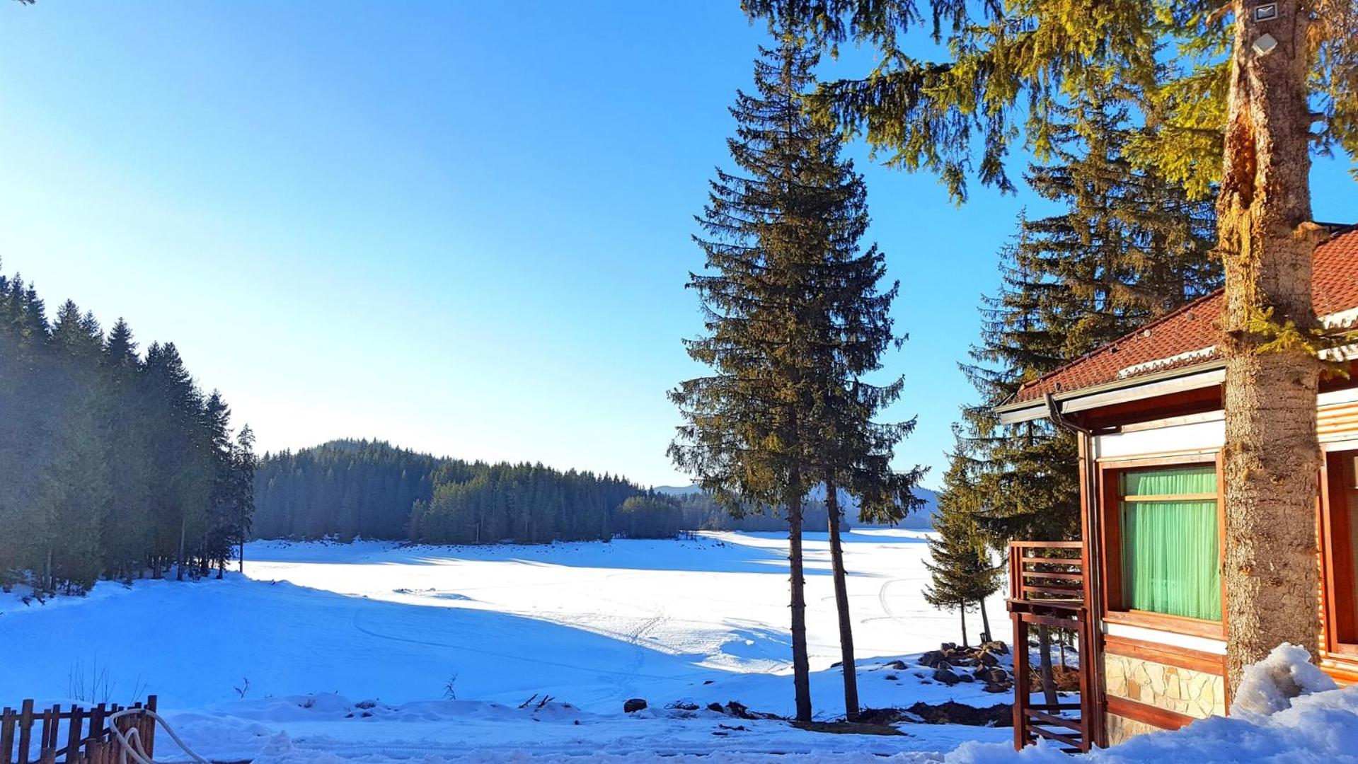 Romantica Forest Guest House