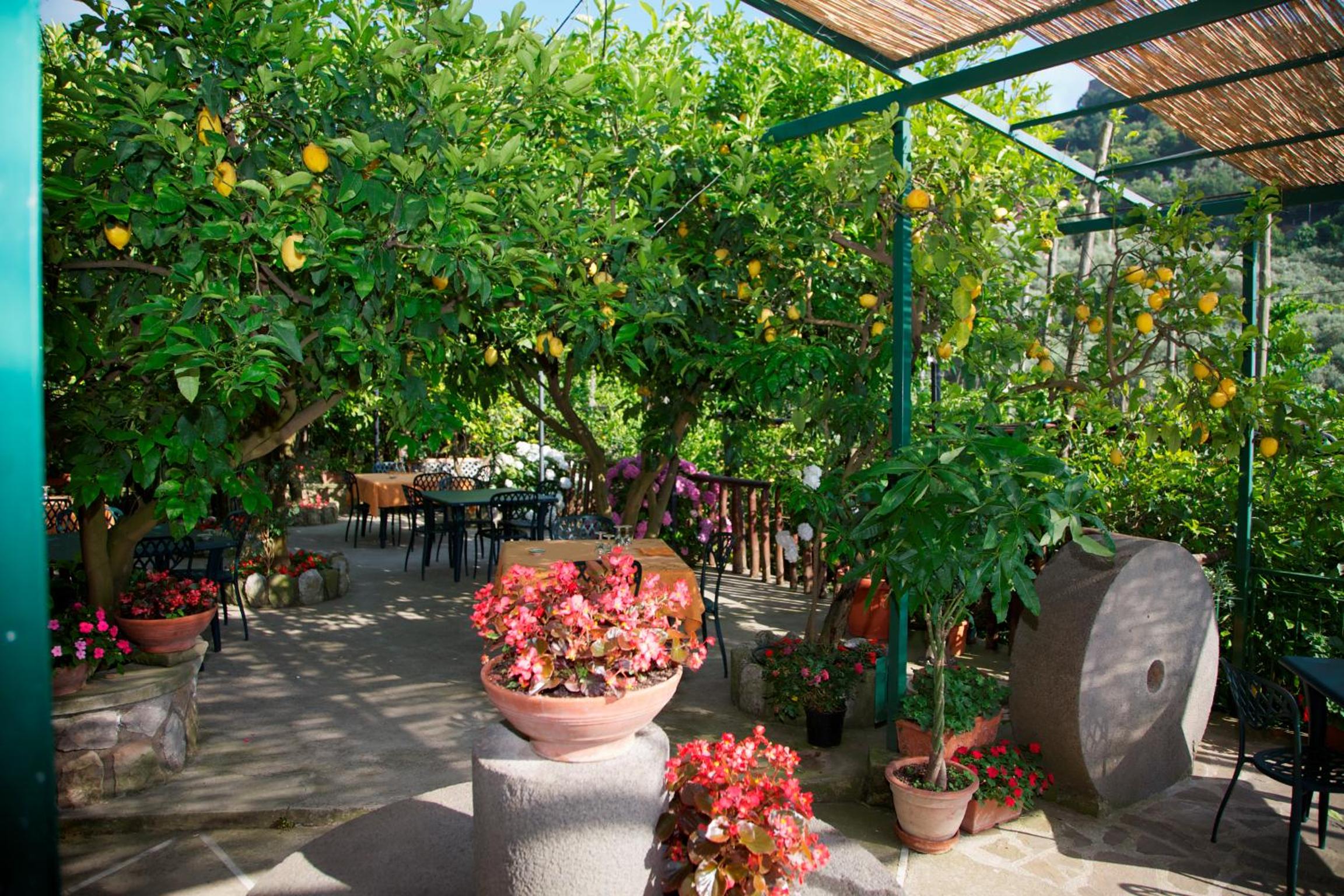 Agriturismo La Lobra