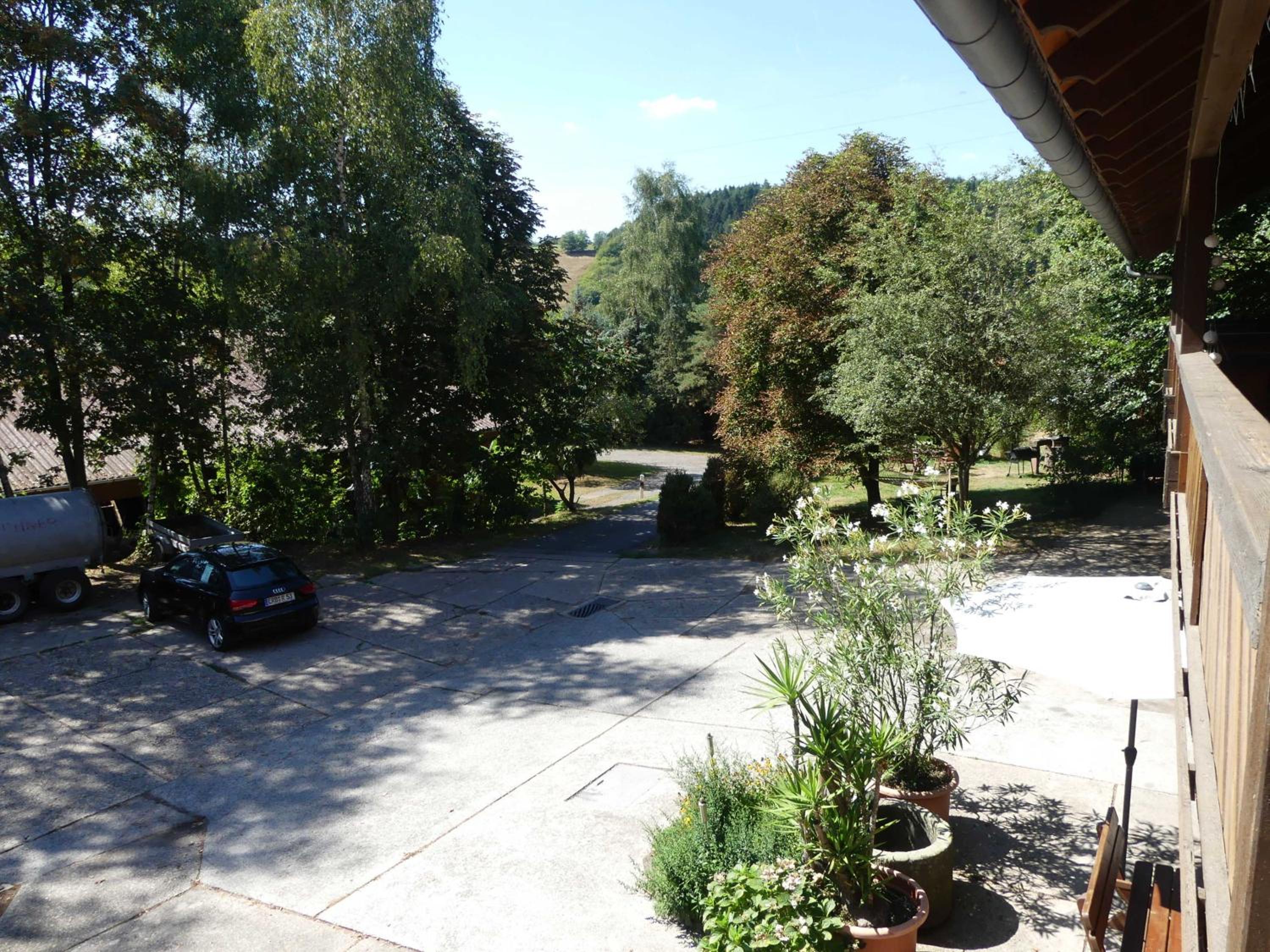 Photo 51