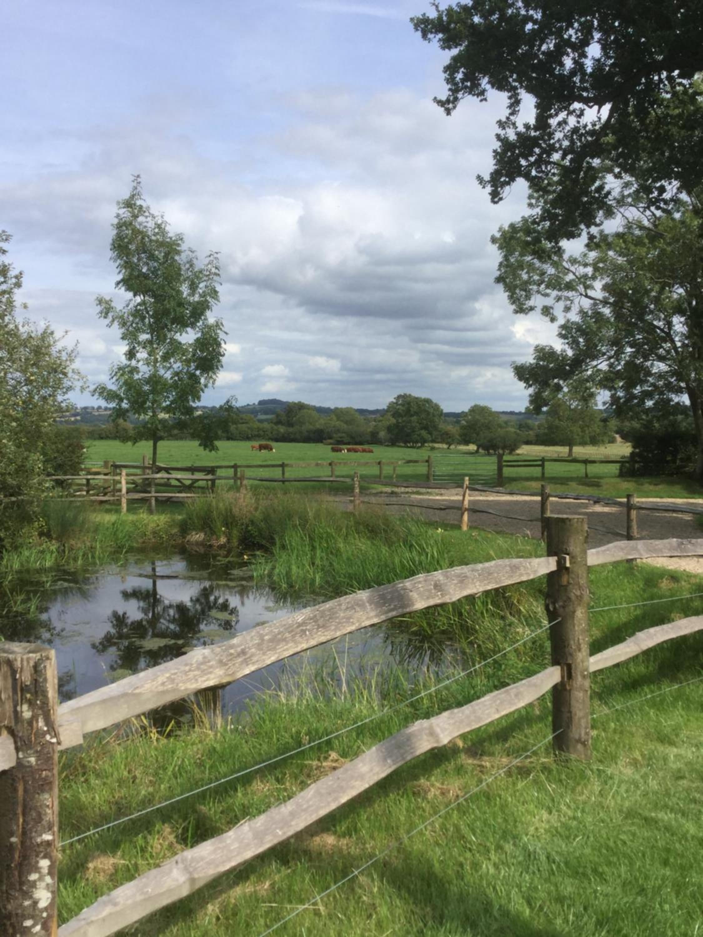 Park Farm view 2
