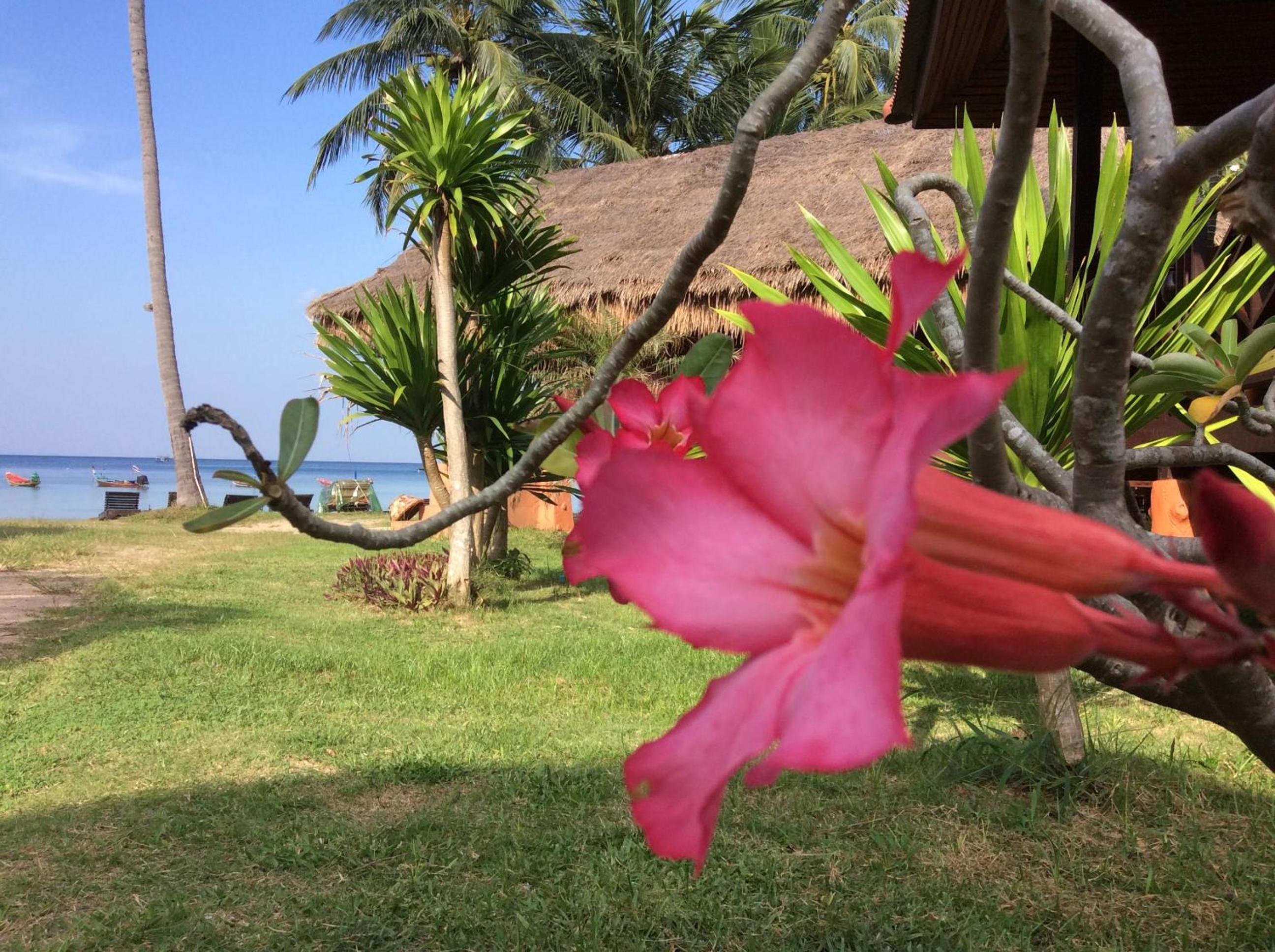 Bow Thong Beach Resort