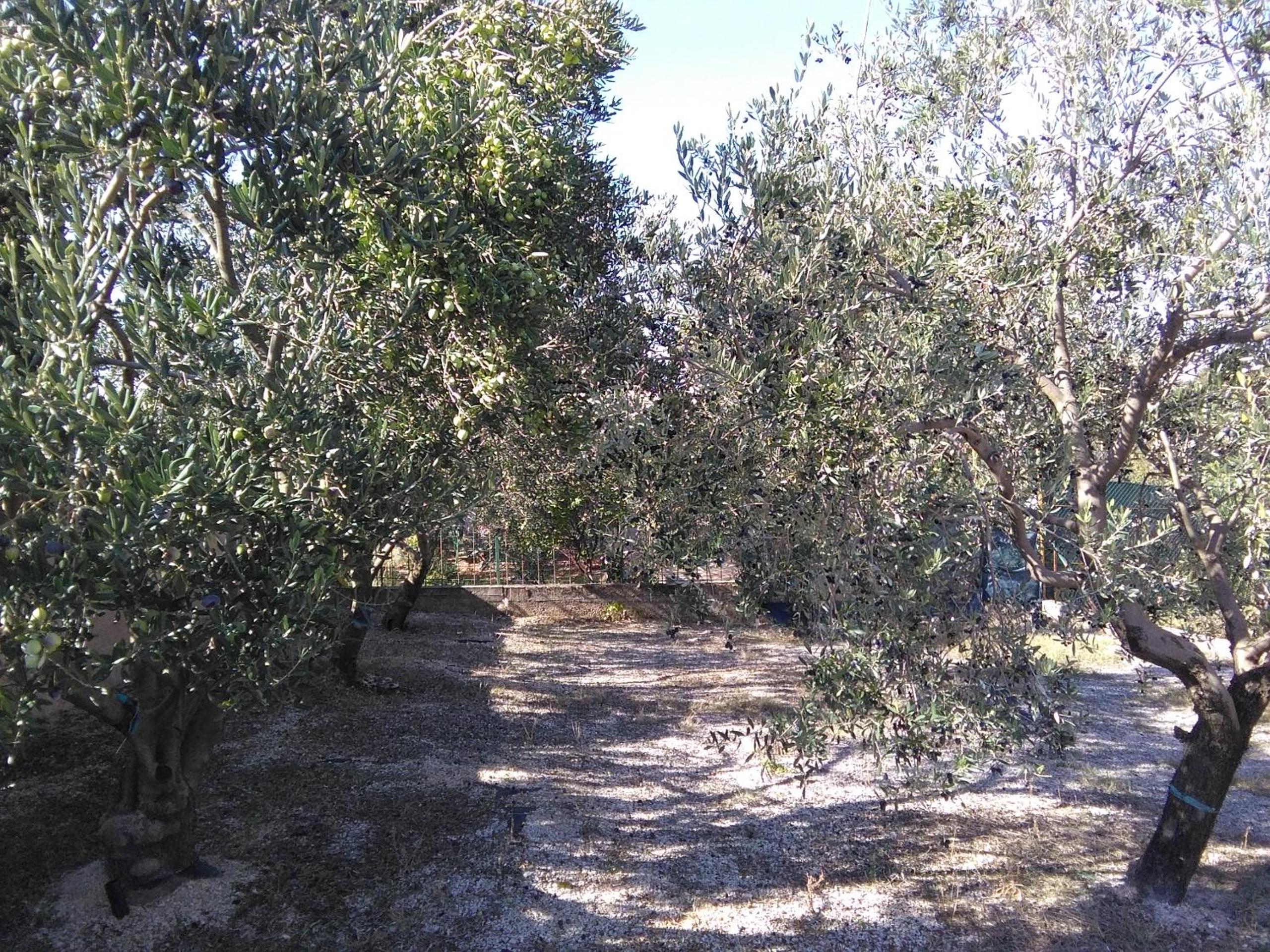 Photo 24
