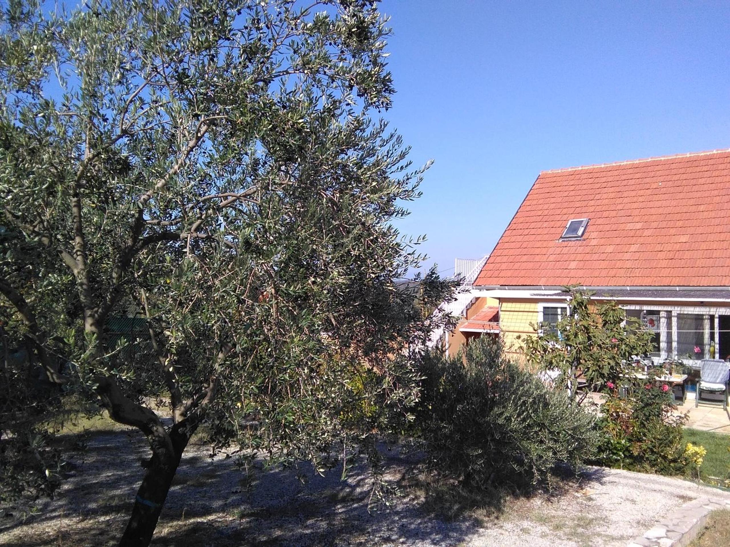 The Olive Garden view 2