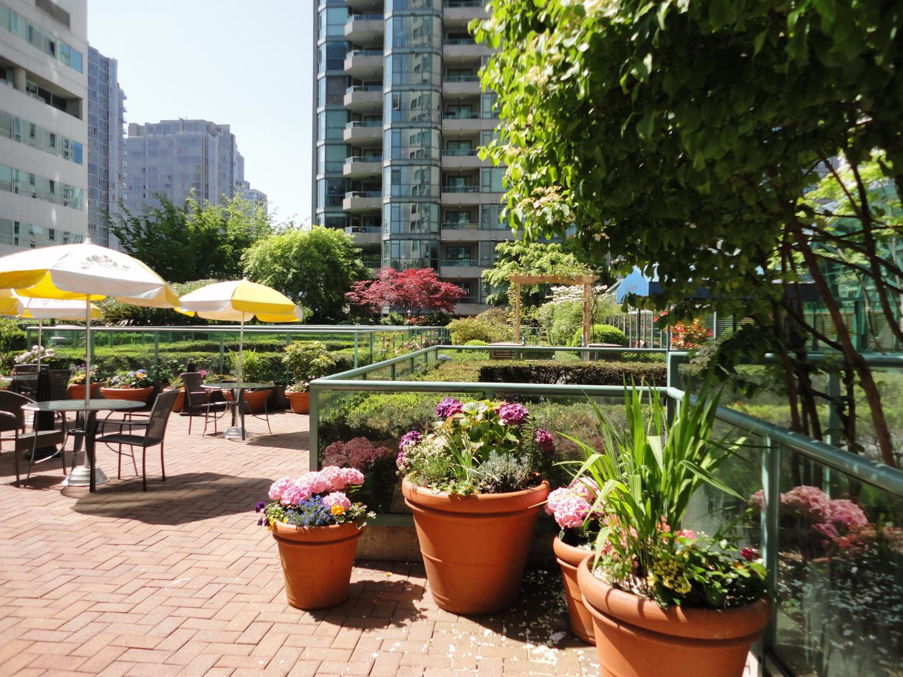 Rosedale on Robson Suite Hotel-2