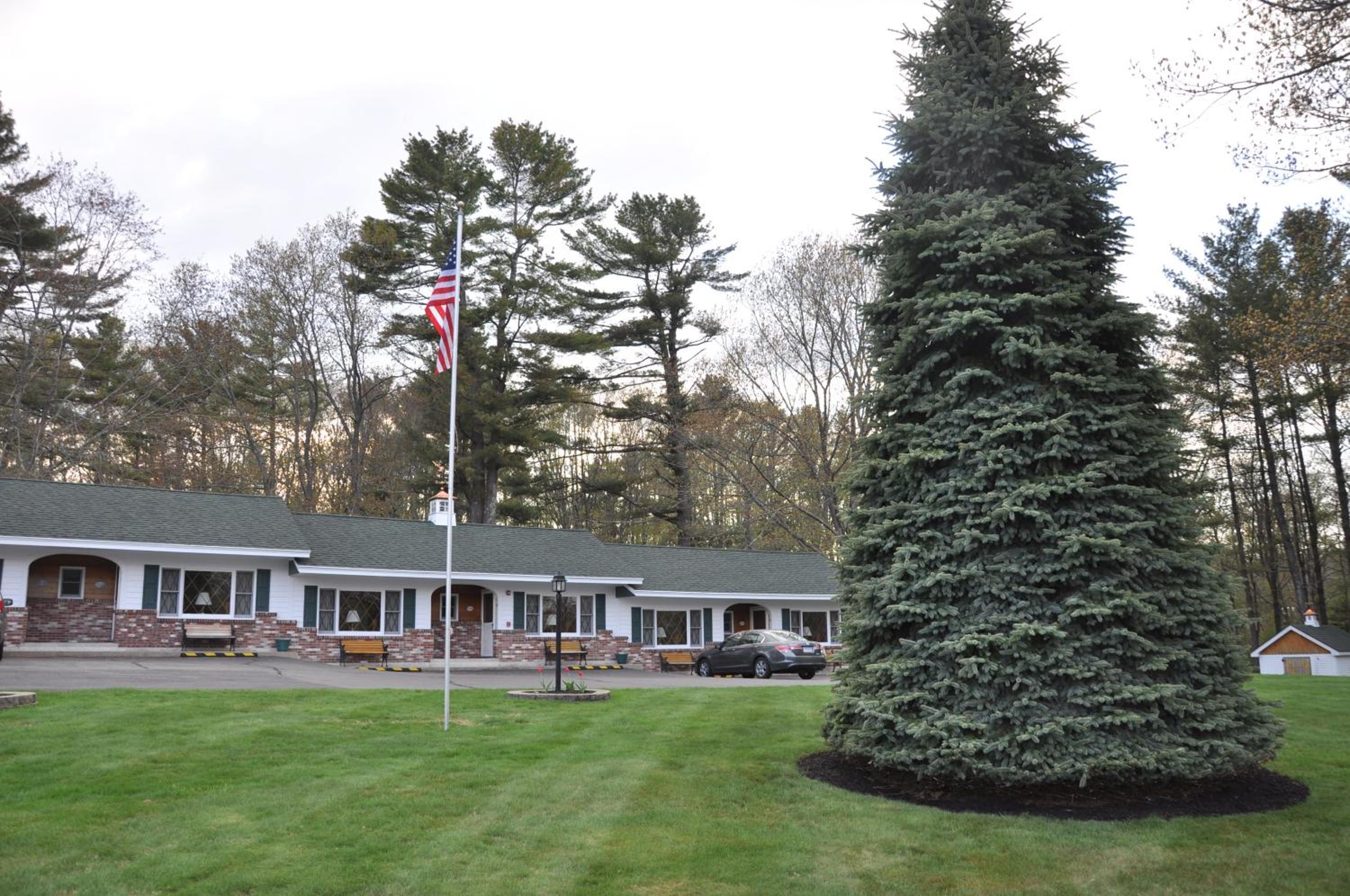 Towne Lyne Motel - Property Image 111