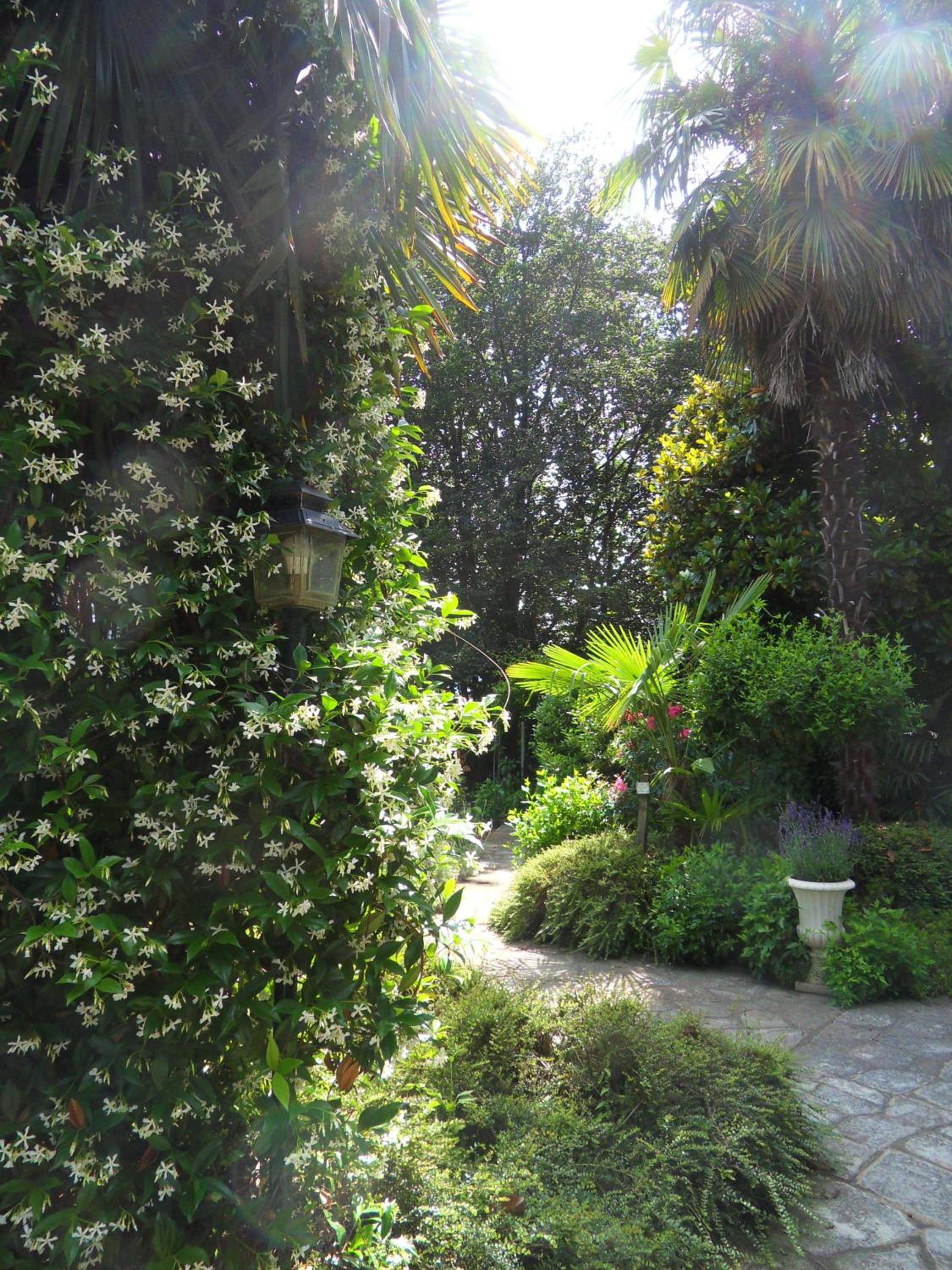 Cuore Verde view 4