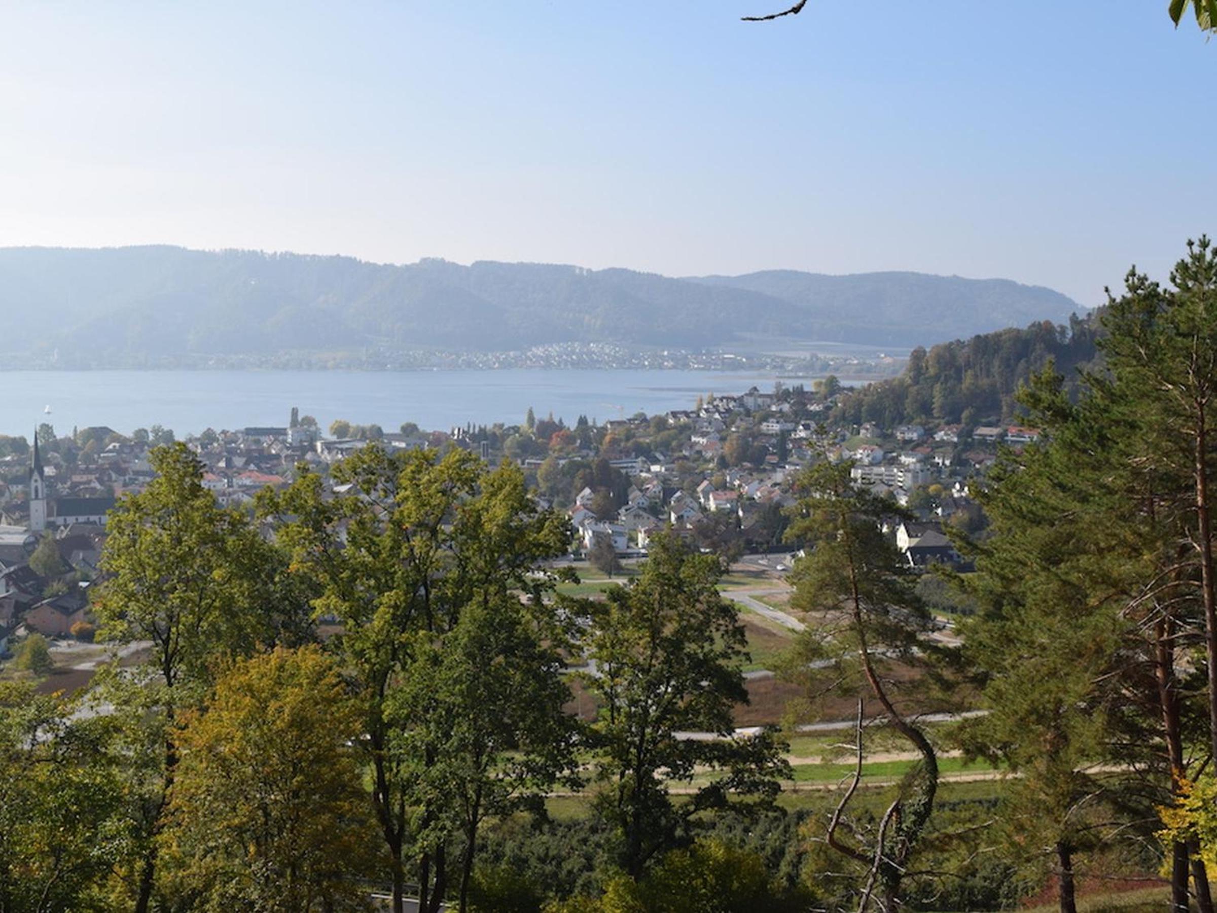 Haus Bodanblick view 5