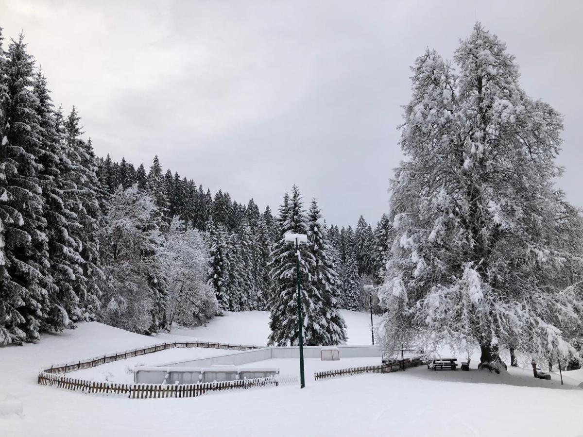 Urlaubsalm Kreuth 6
