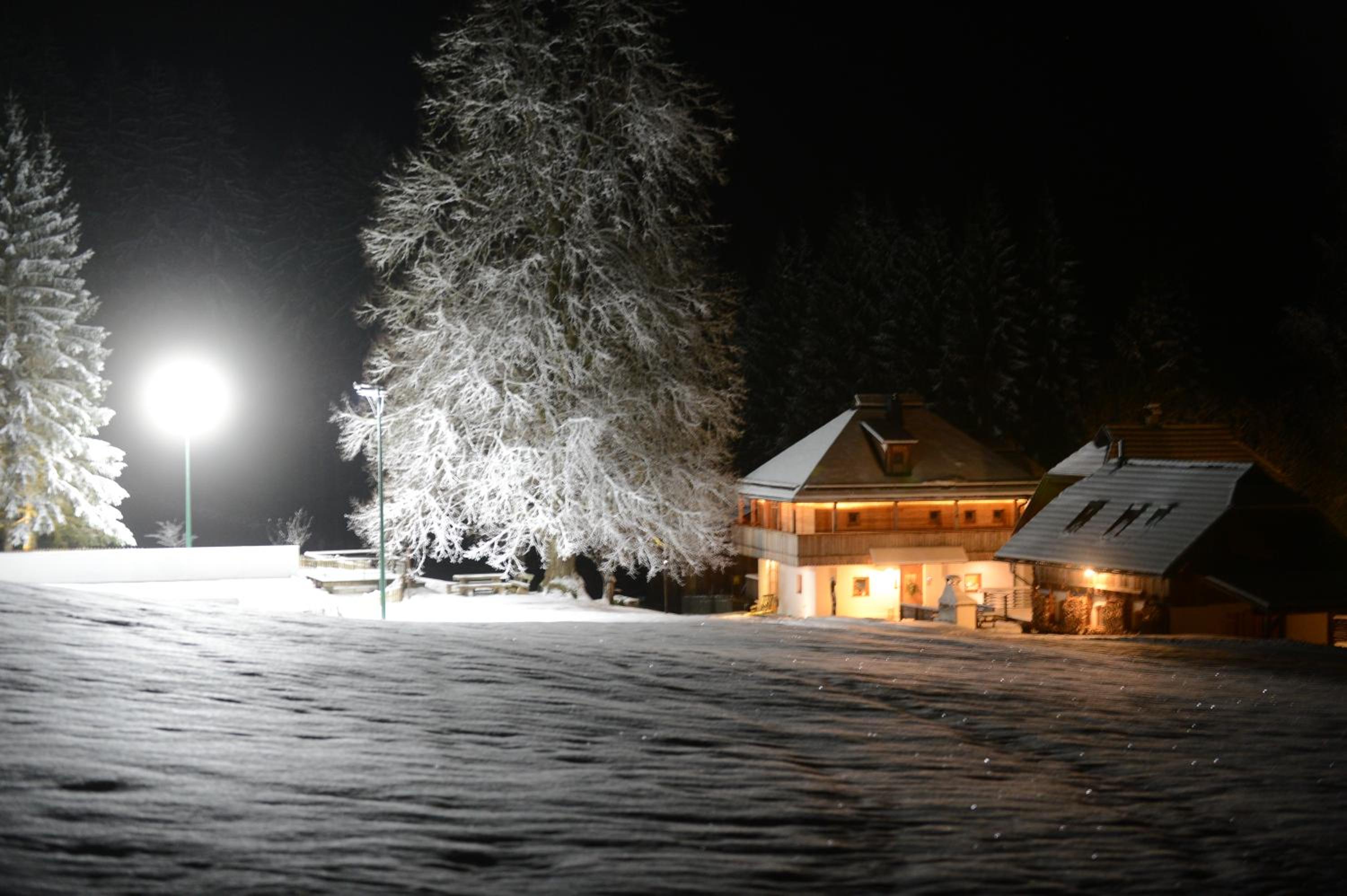 Urlaubsalm Kreuth 6
