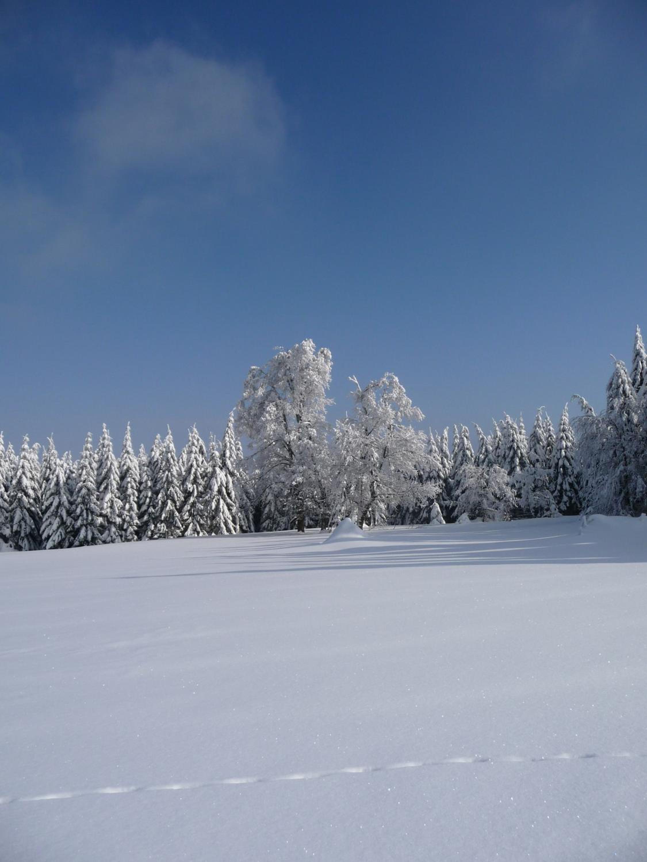 Berggasthof Heuberghaus, direkt am Rennsteig