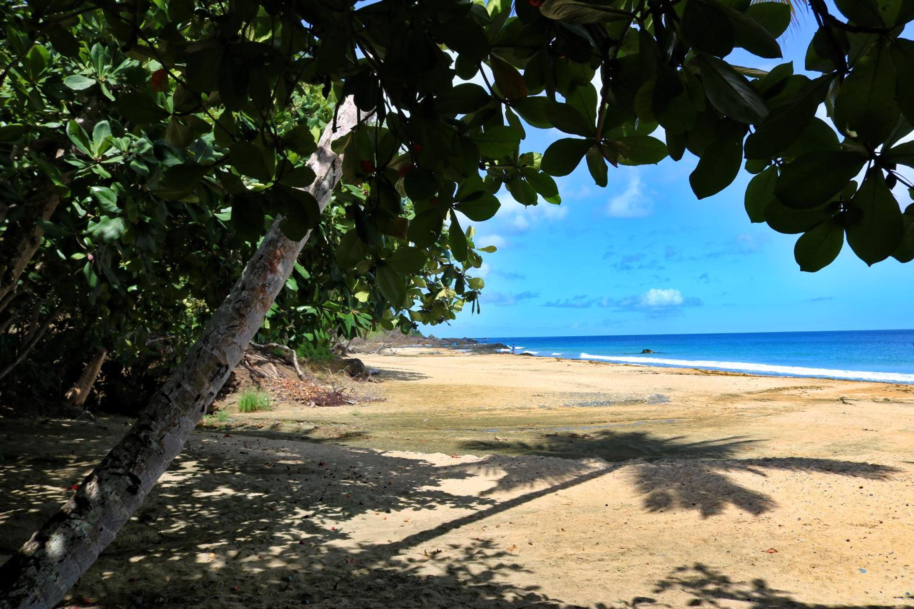 Plantation Beach Villas