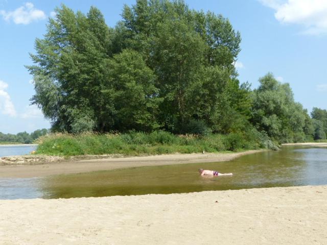 Photo 64