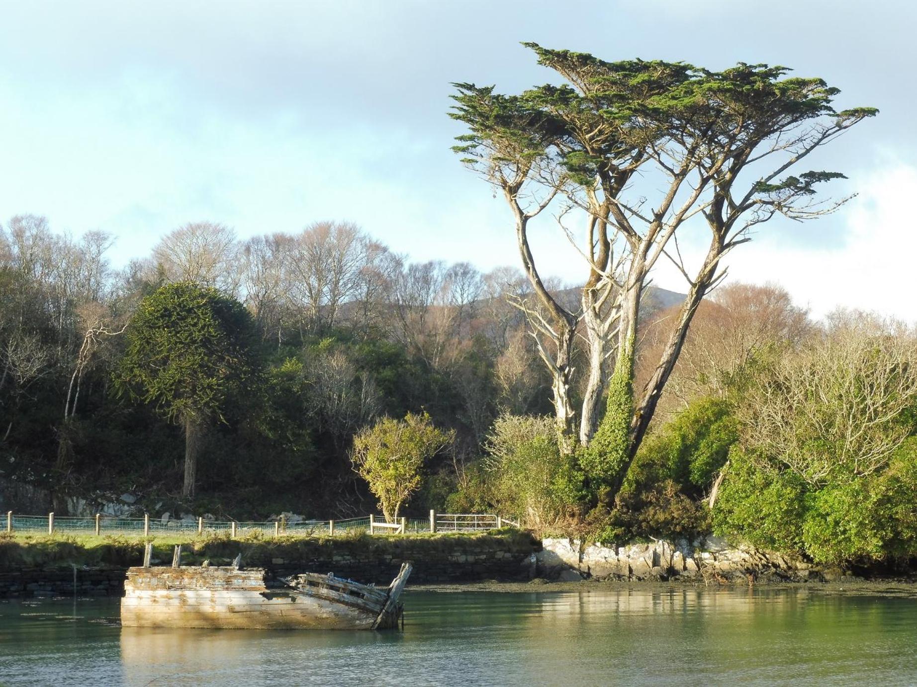 Island View House