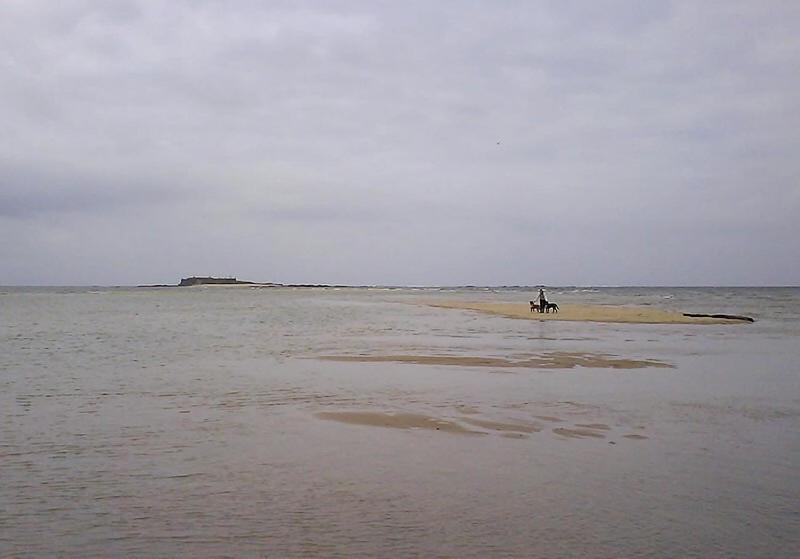 Photo 52