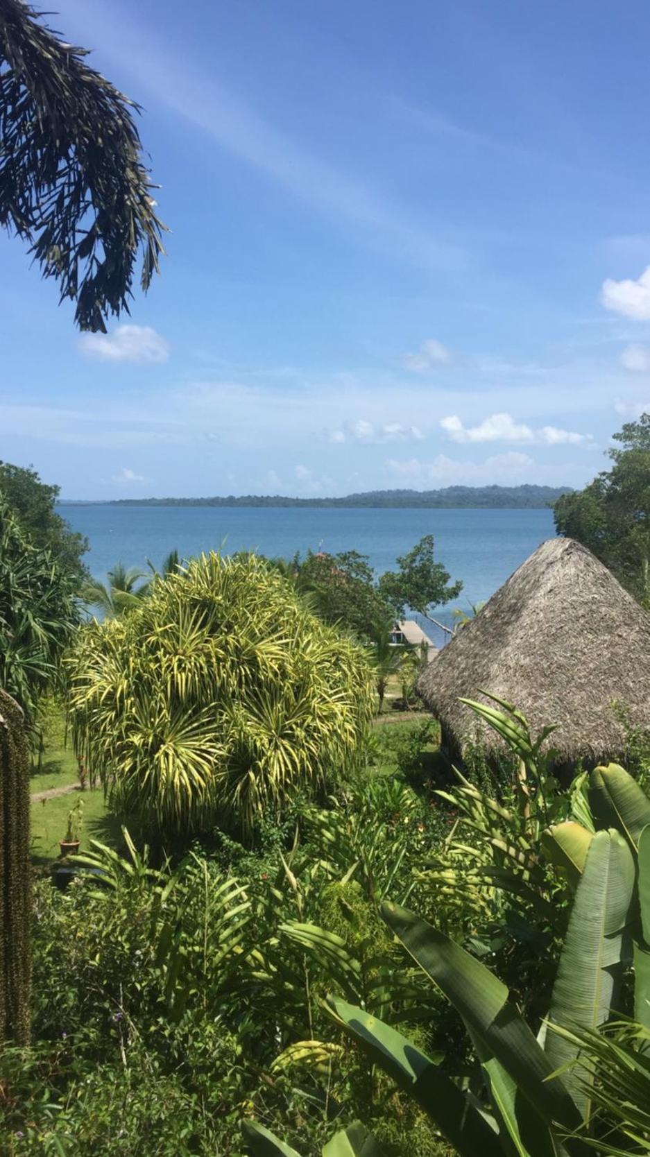 Dolphin Bay Hideaway