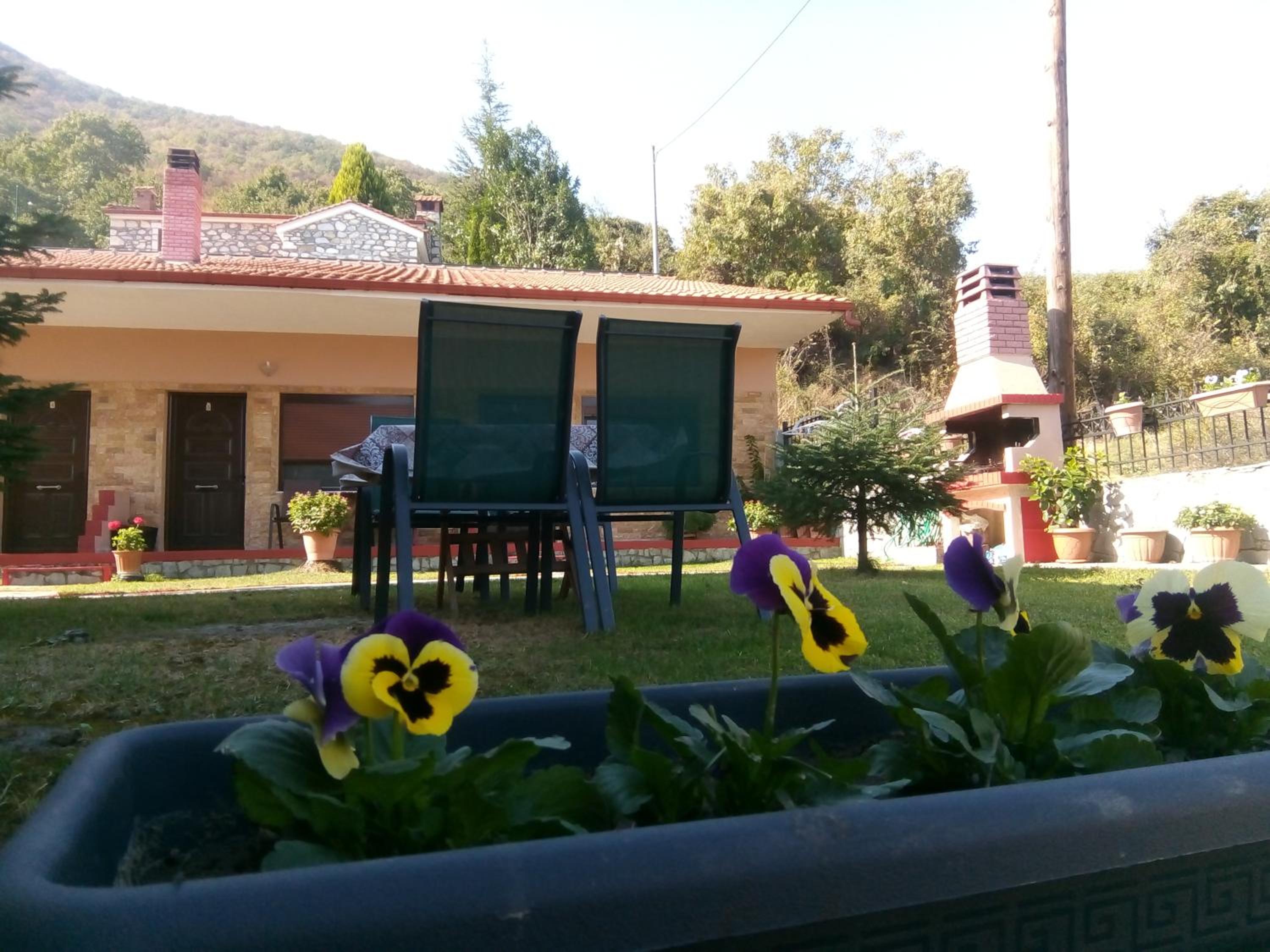 Photo 19
