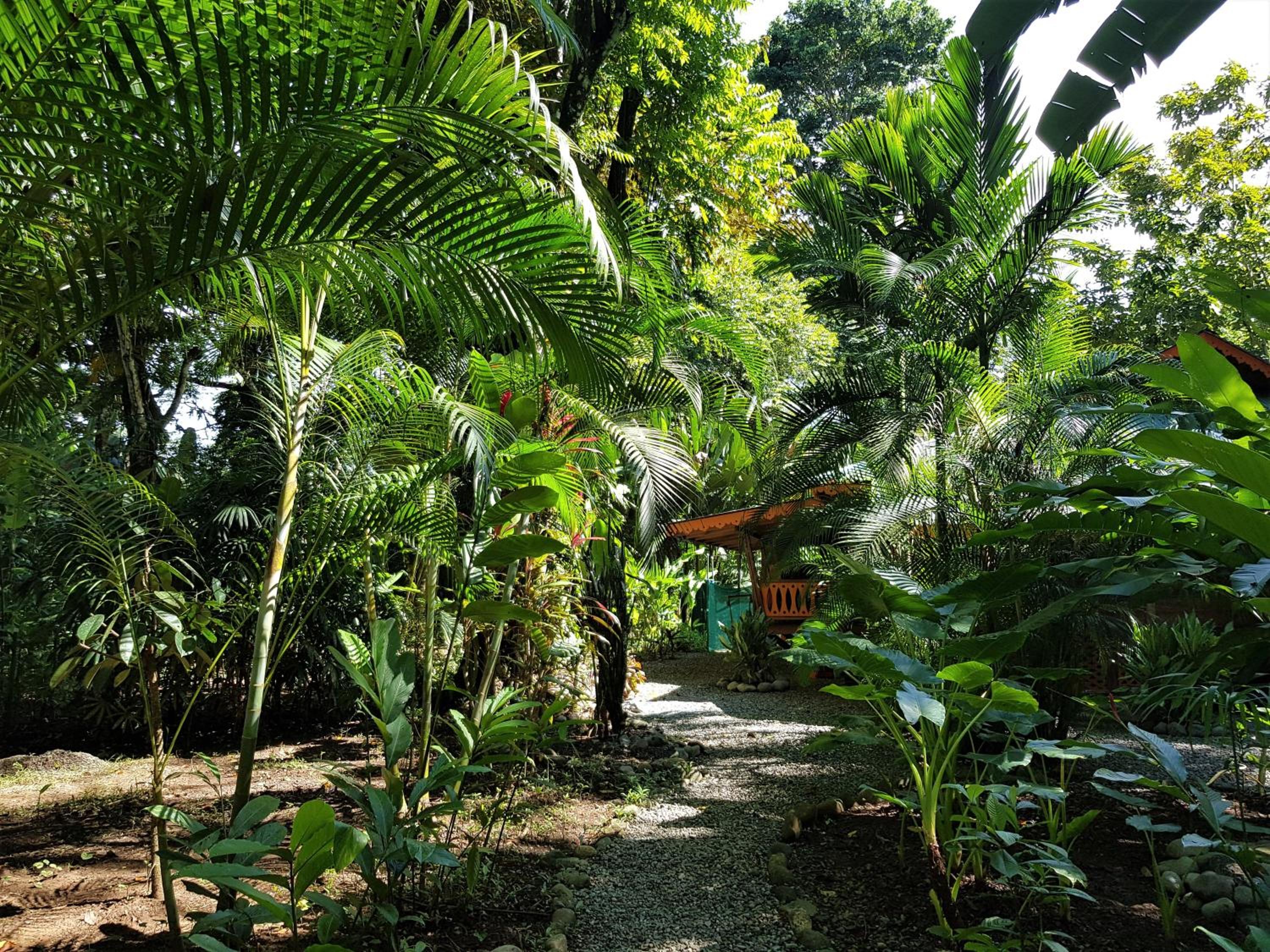 El Jardin de Playa Negra