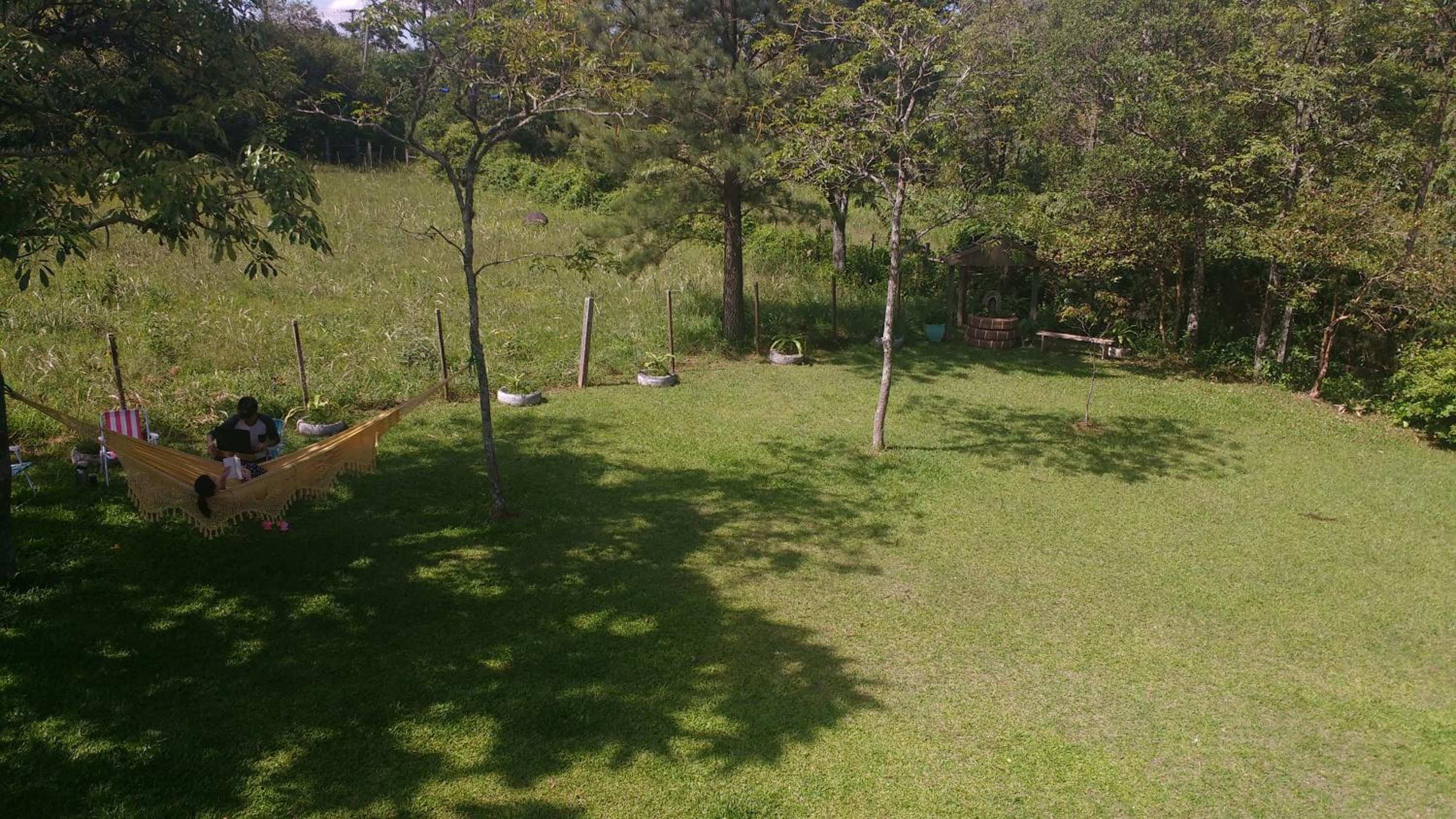 Photo 40