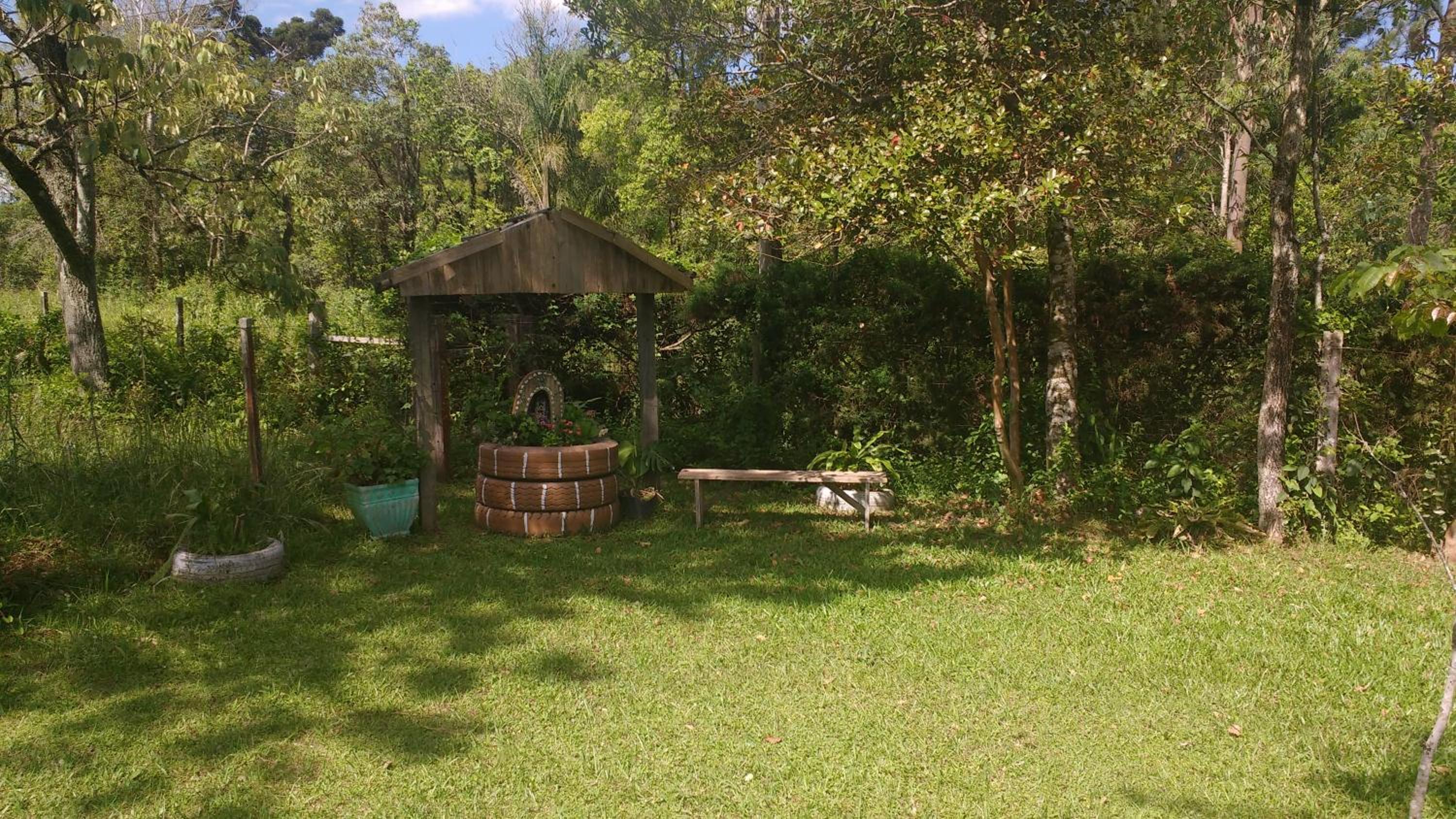 Photo 41
