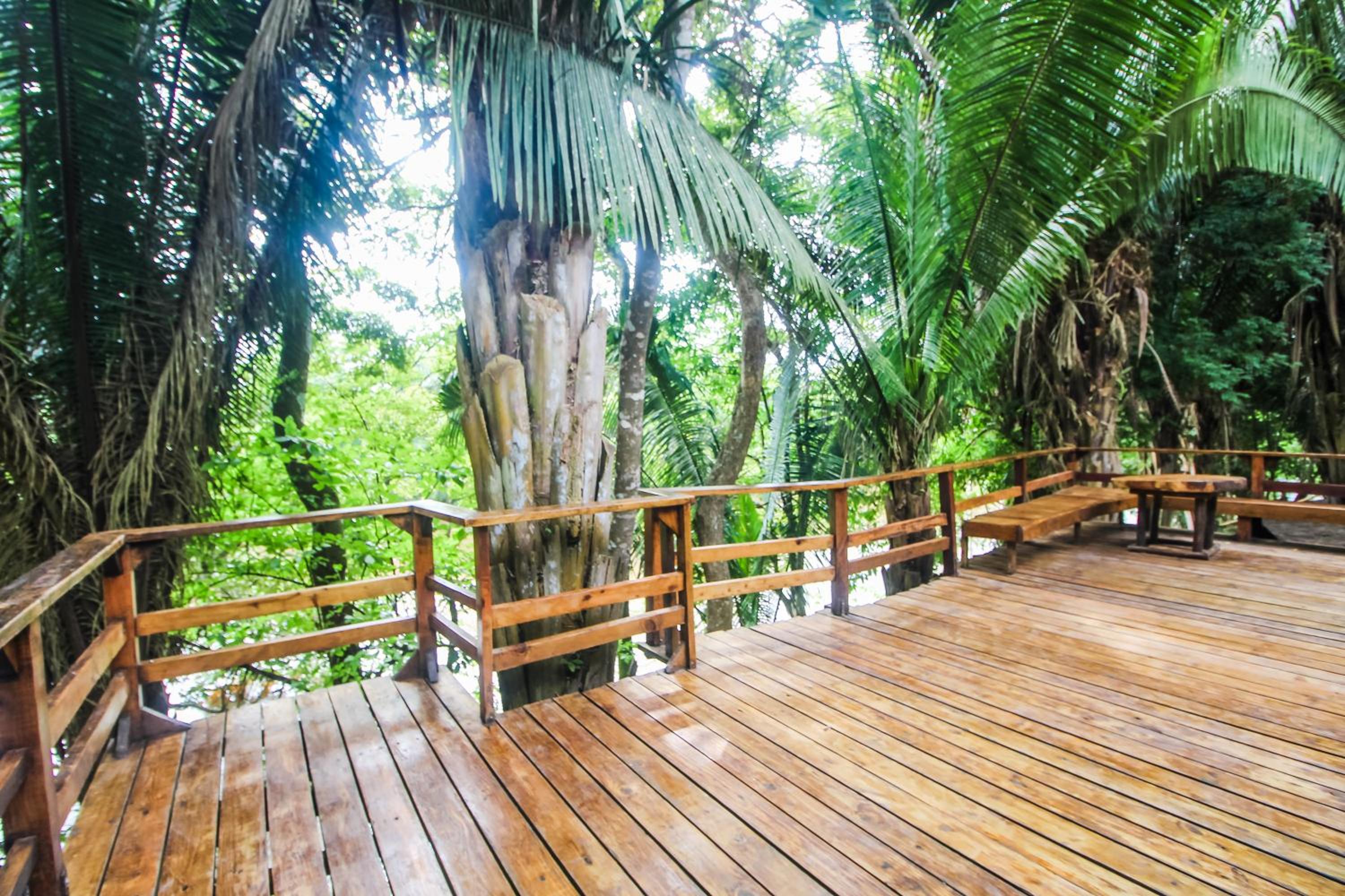 Cohune Palms River Cabanas