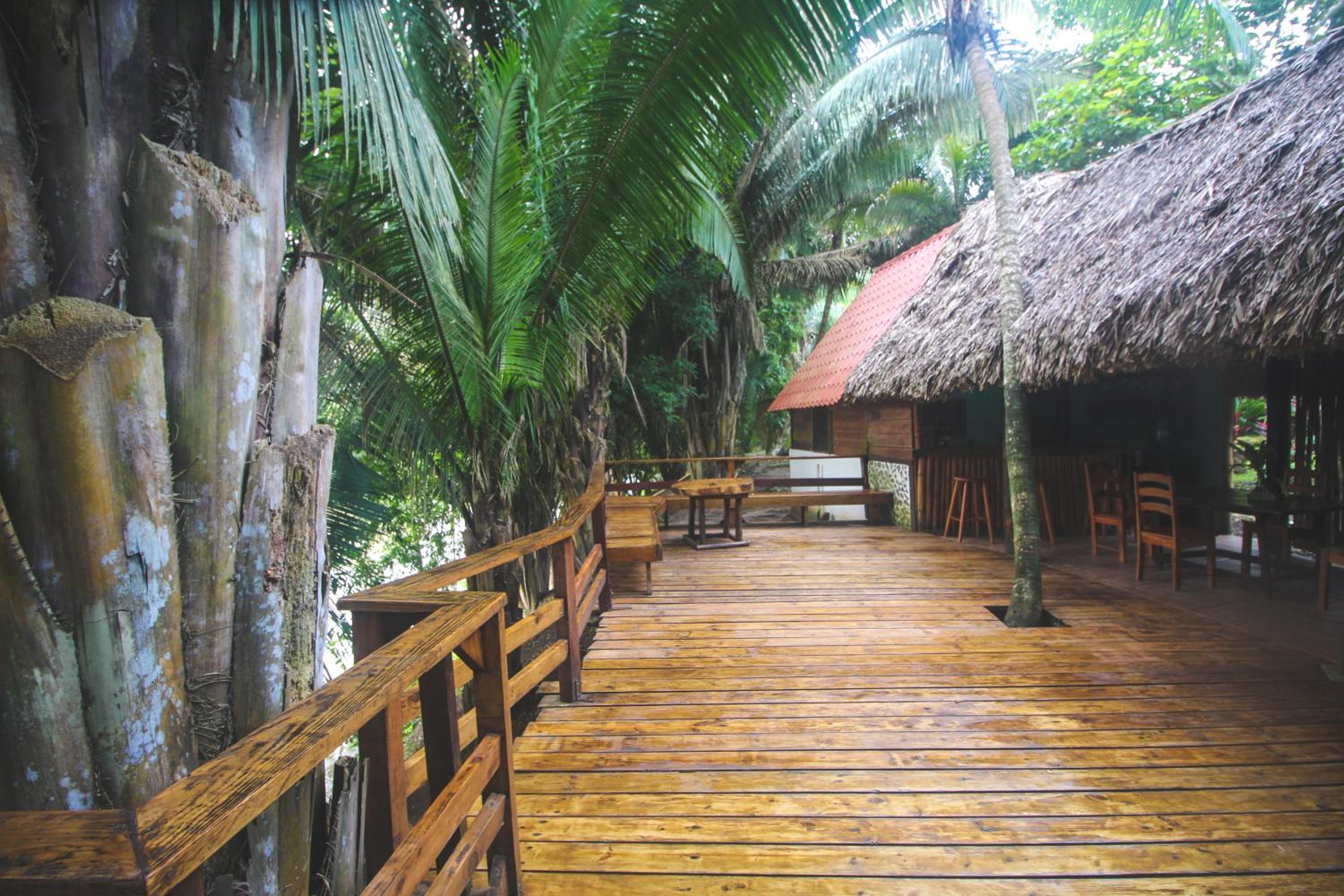 Cohune Palms River Cabanas