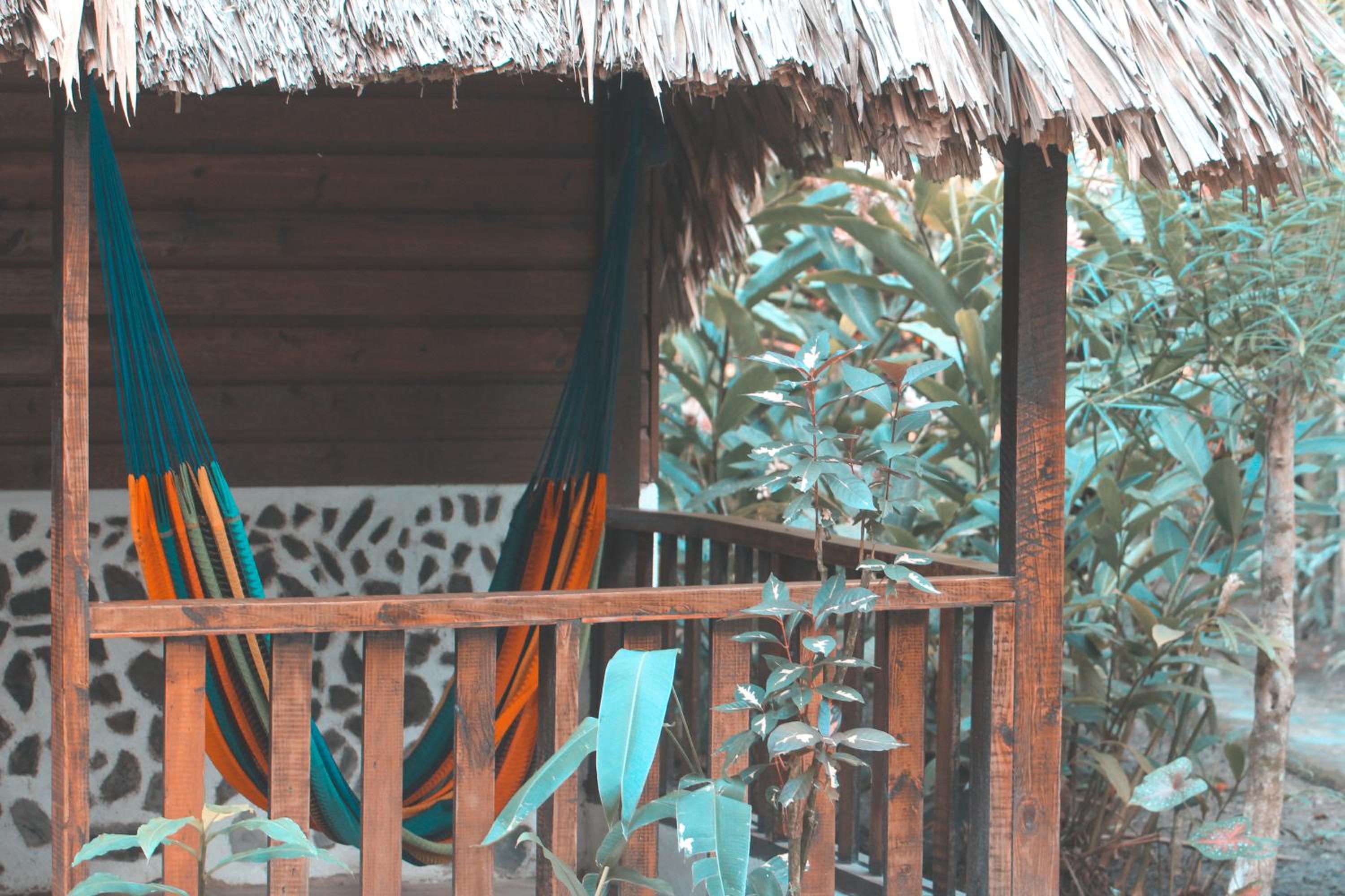 Cohune Palms River Cabanas