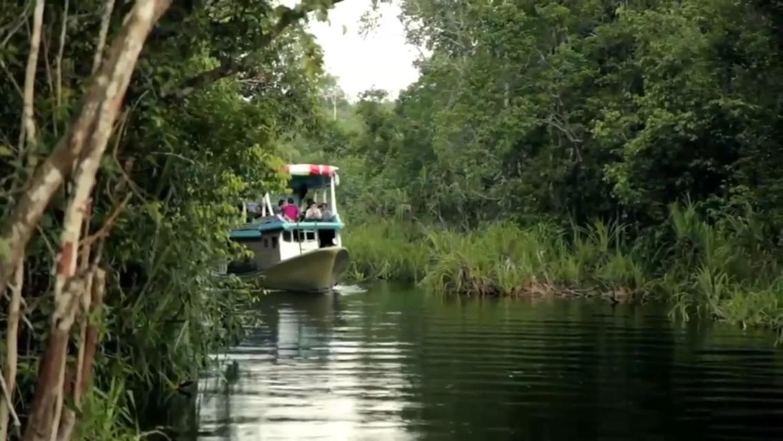Orangutan Shaka Houseboat with cabin view 2