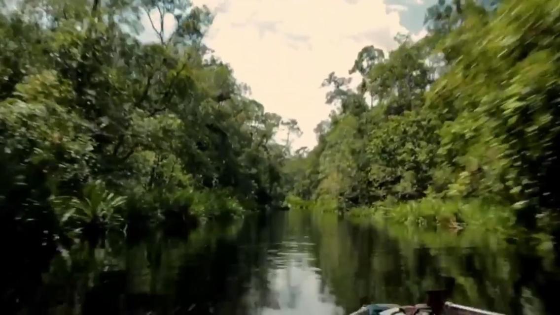 Orangutan Shaka Houseboat with cabin view 4