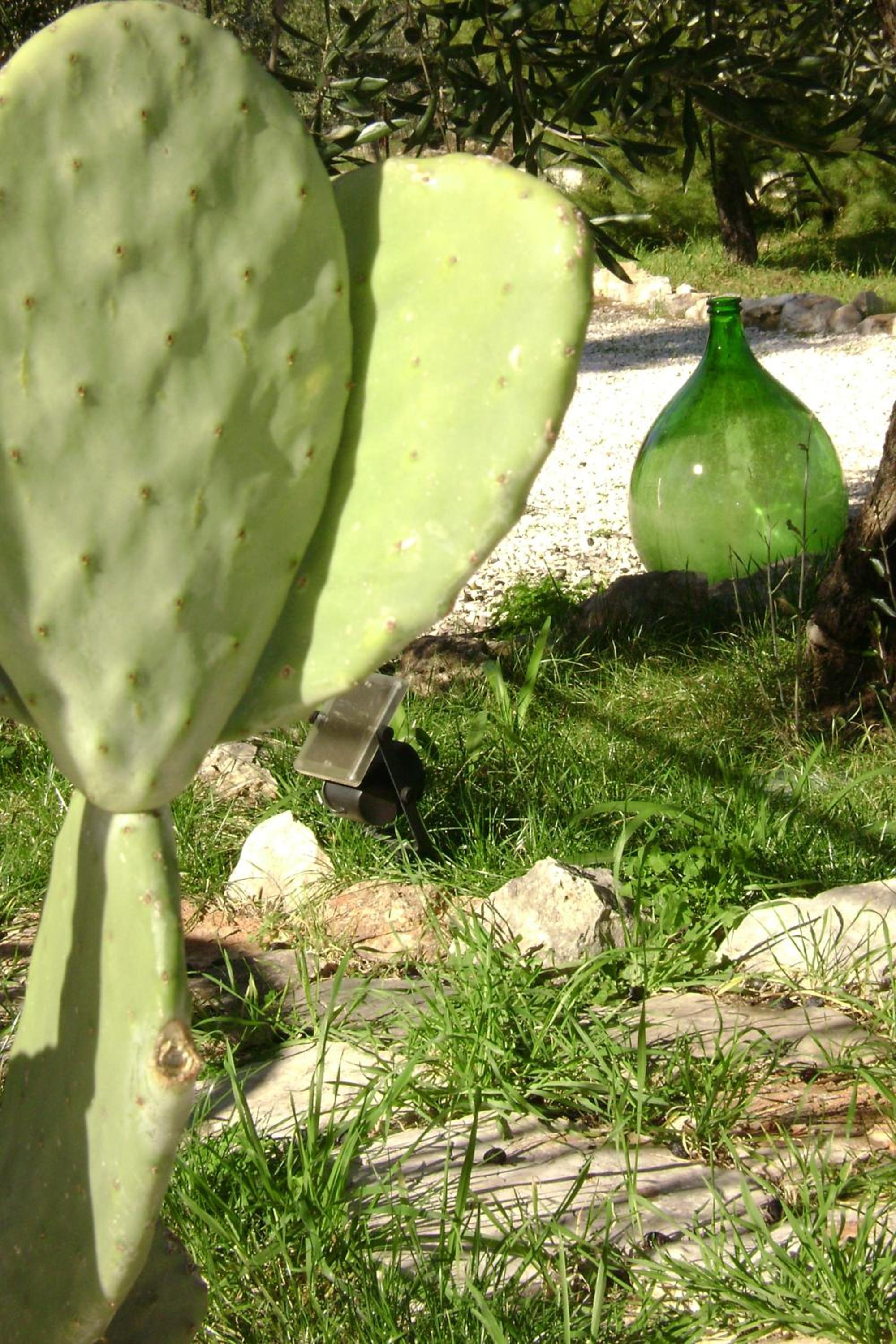 B&B Villa Mediterranea with private parking