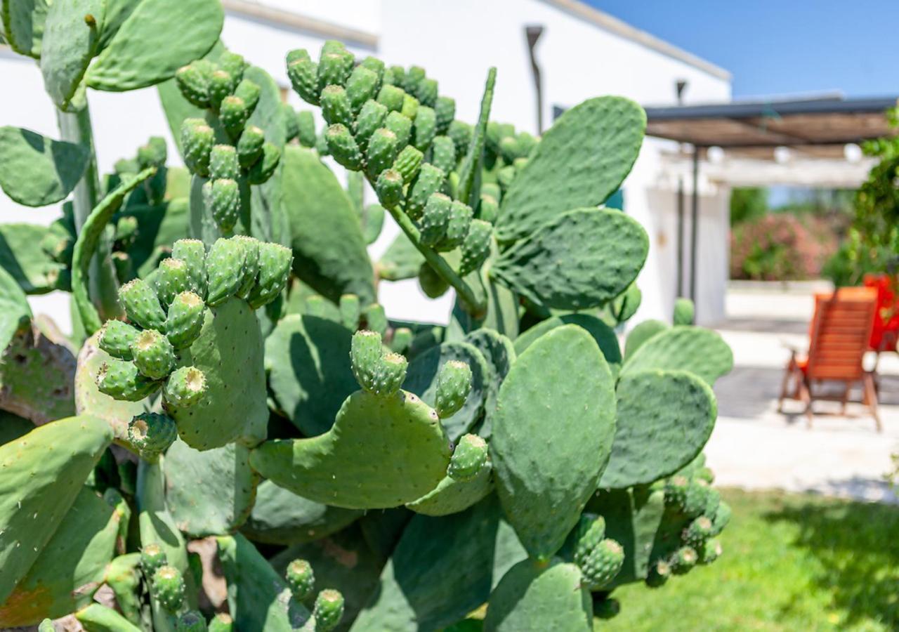 Agriturismo Le Terre