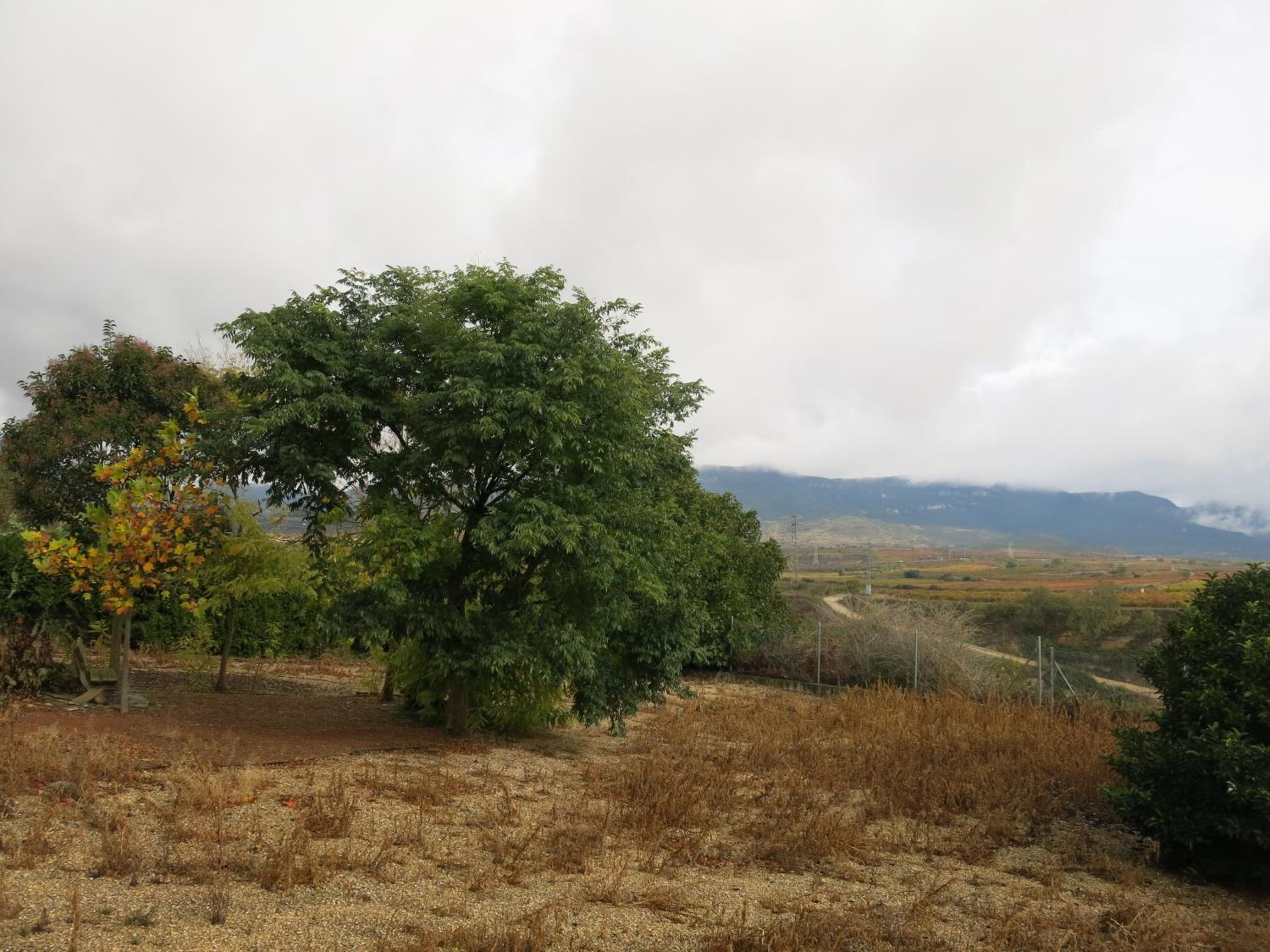 75 Avenida de la Rioja view 4