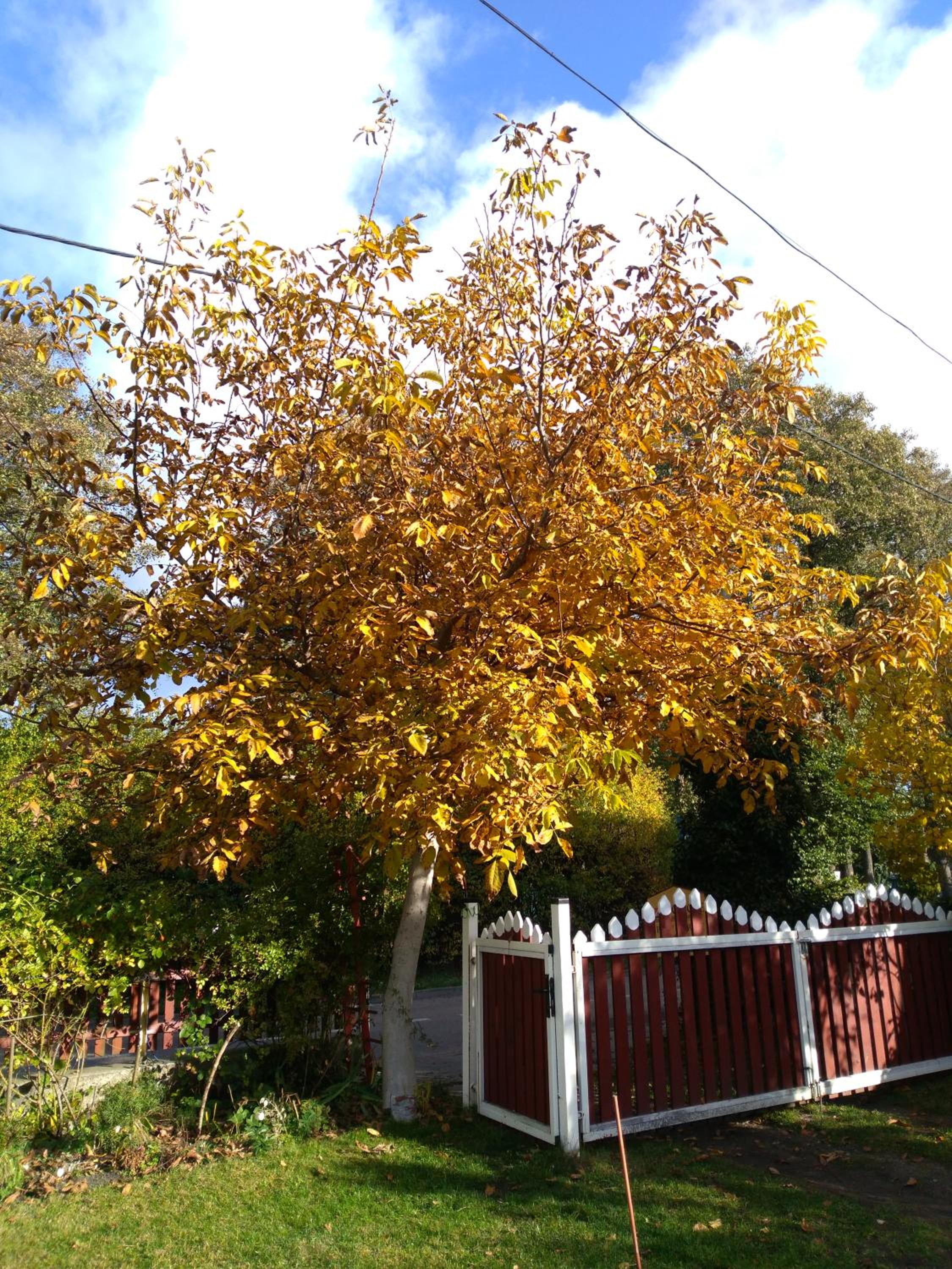 Photo 19