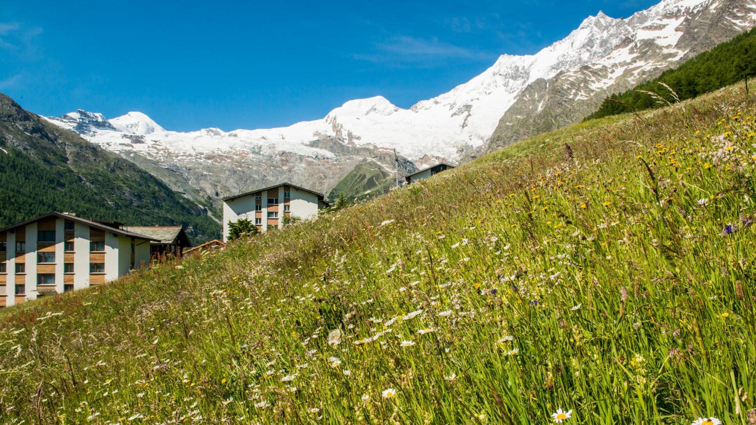 Haus Belle-Vue
