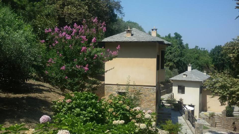 Vergopoulos Oliveyard