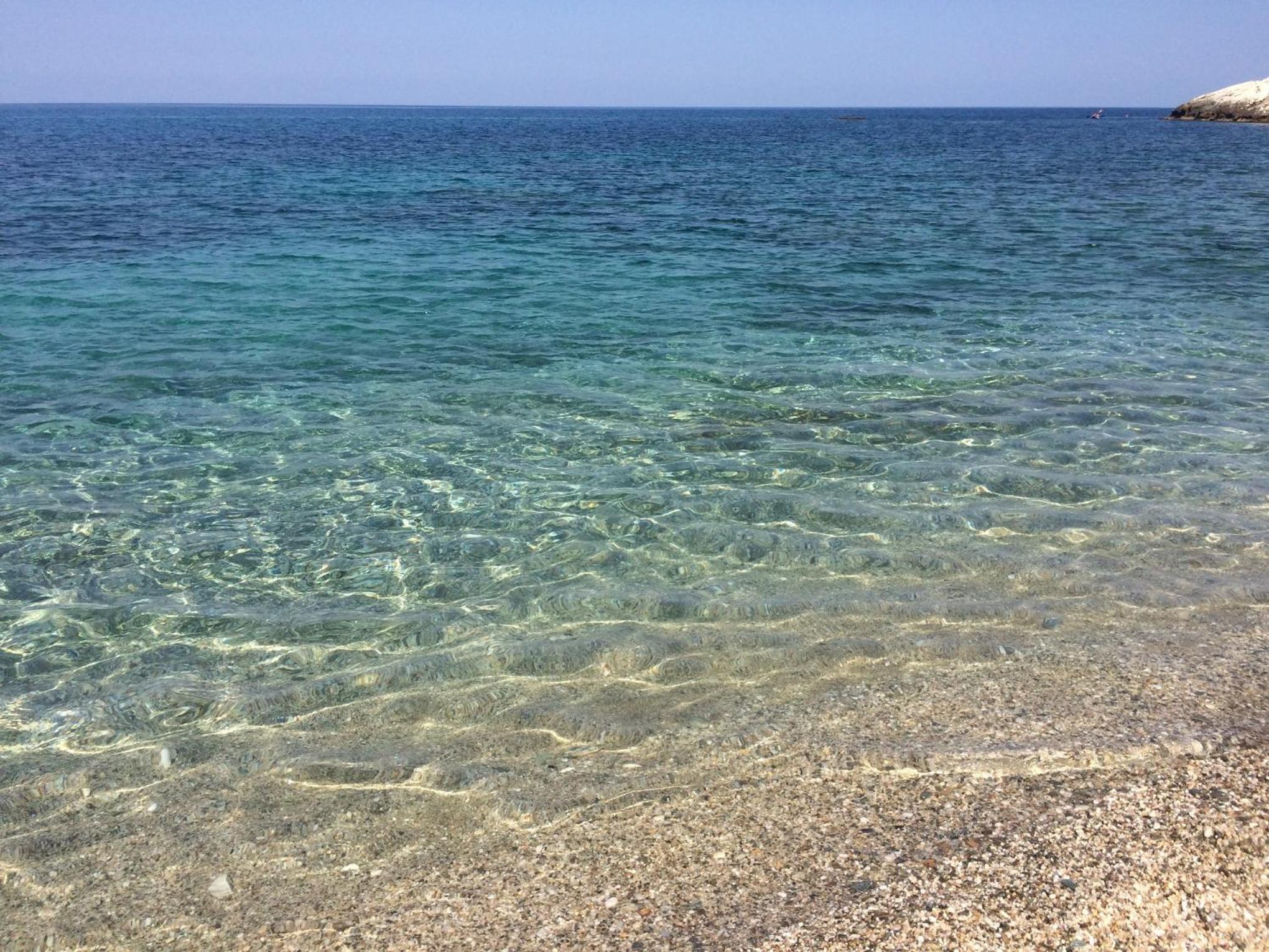 Vergopoulos Oliveyard