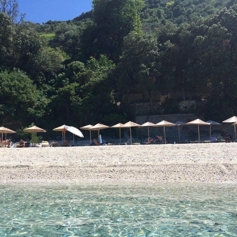 Vergopoulos Oliveyard