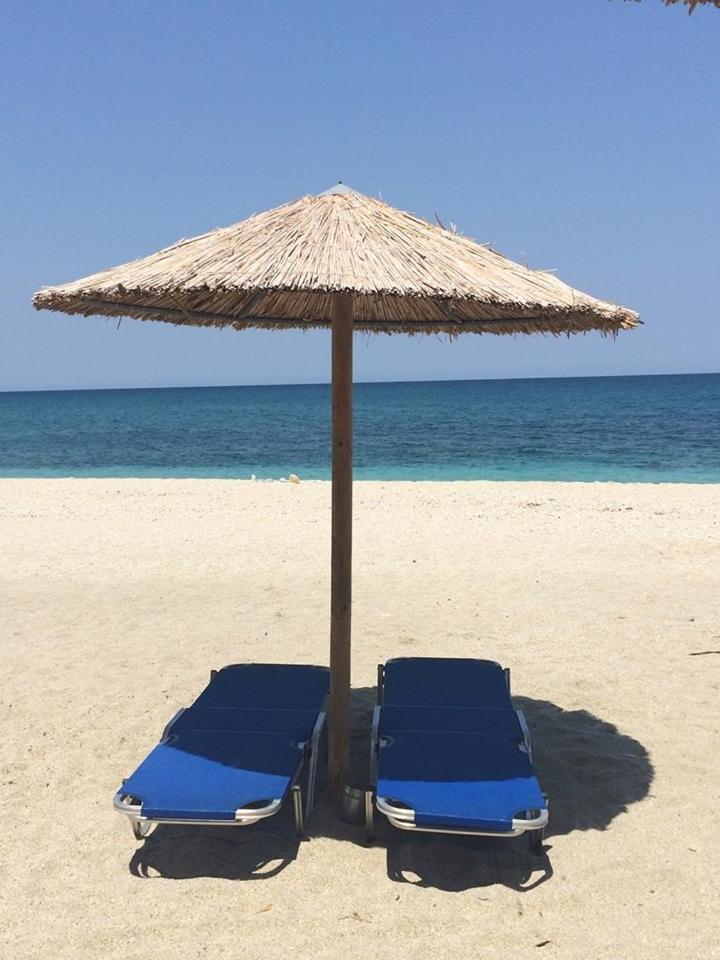 Vergopoulos Oliveyard