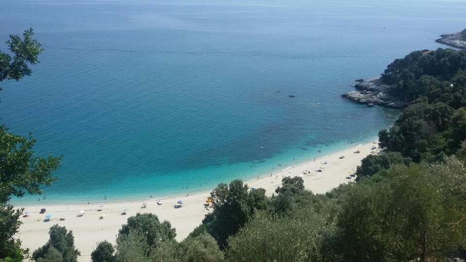 Vergopoulos Oliveyard