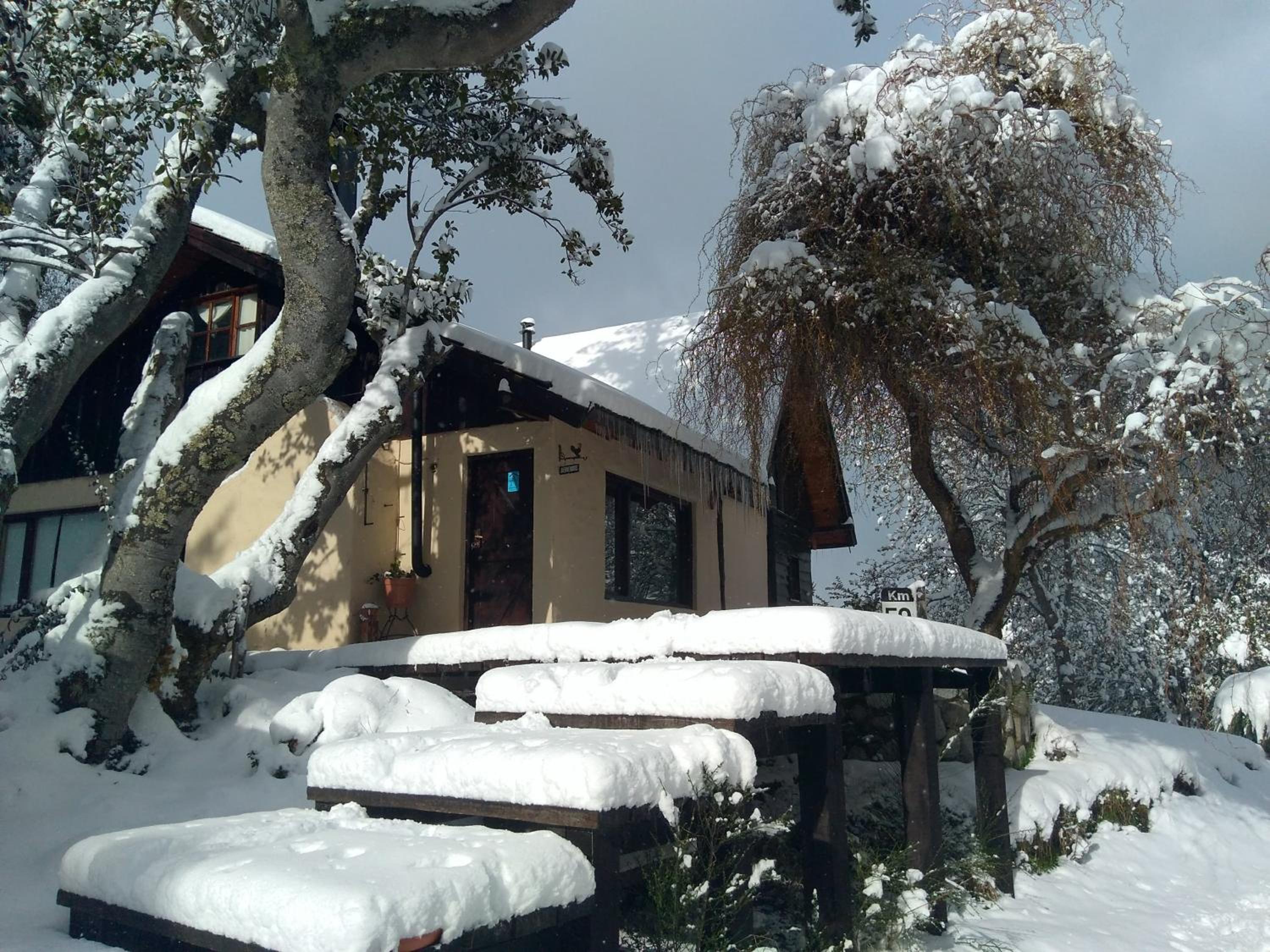 Hotel Albatros cabaña - Image 1