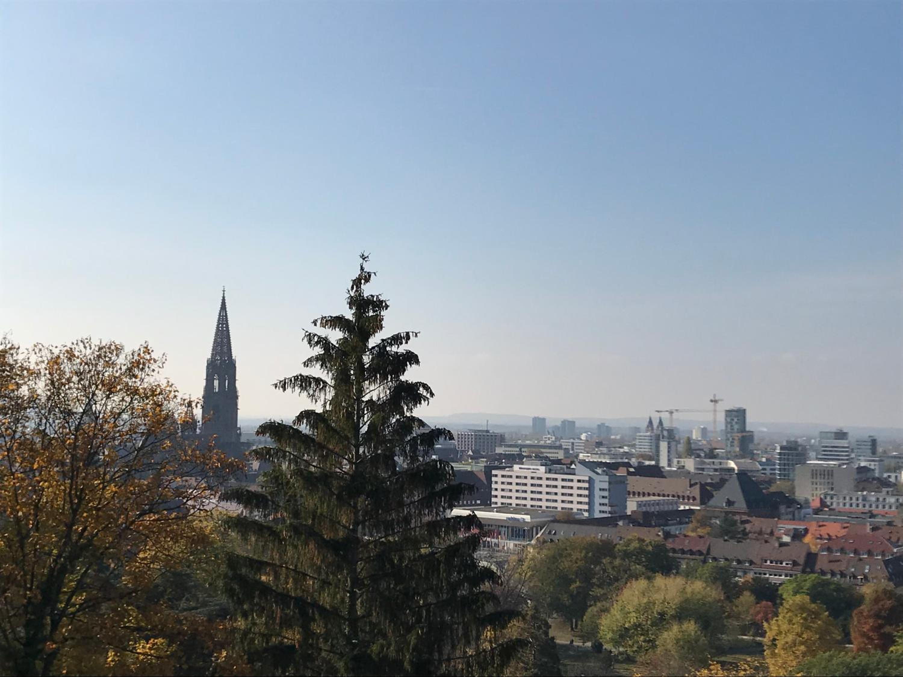 Ferienwohnung-Freiburg-Exklusiv