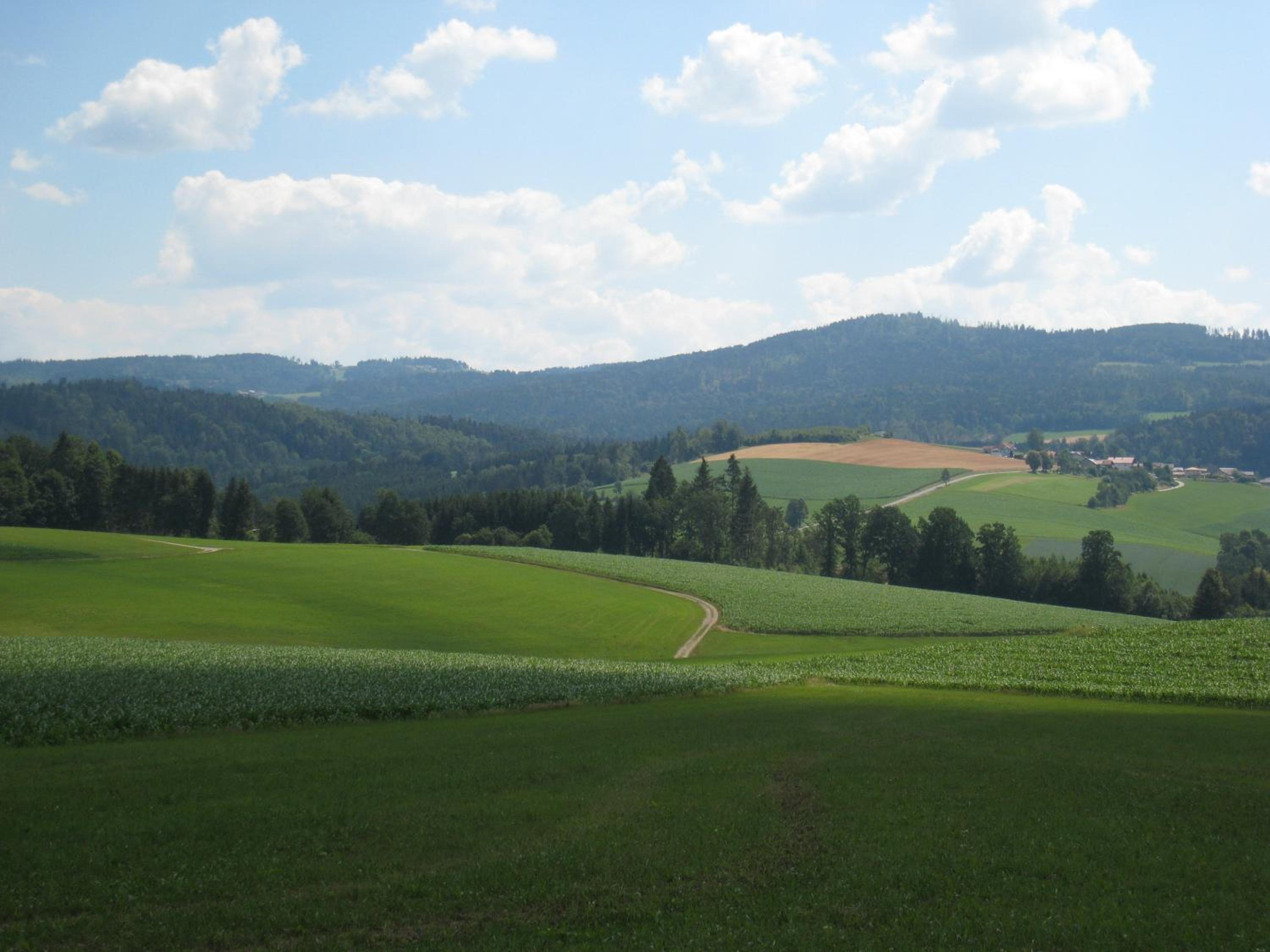 Landhaus-Stockinger view 4
